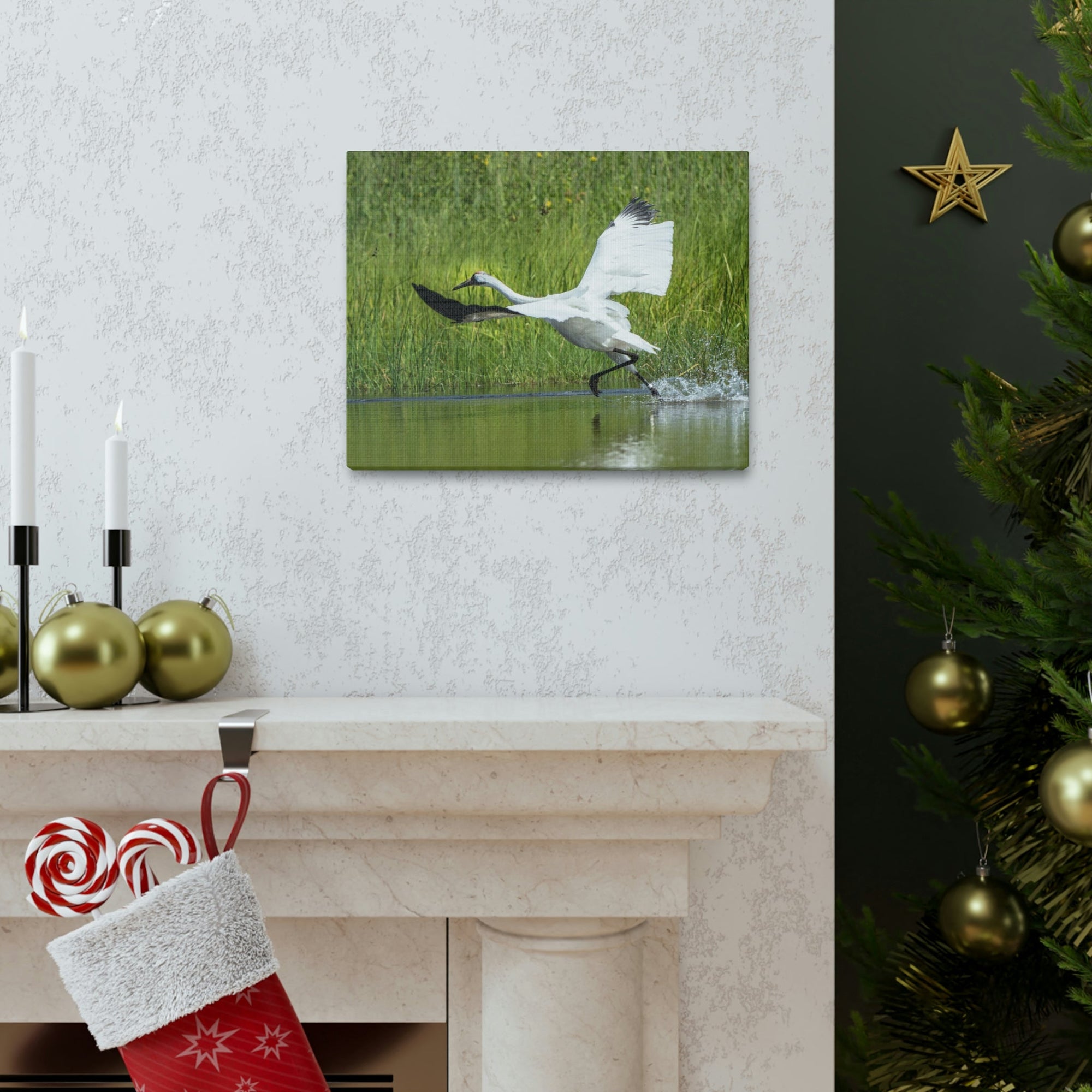 Funny Whooping Crane Silly Whooping Crane Scene Outside Wall Art Ready to Hang Unframed-Express Your Love Gifts