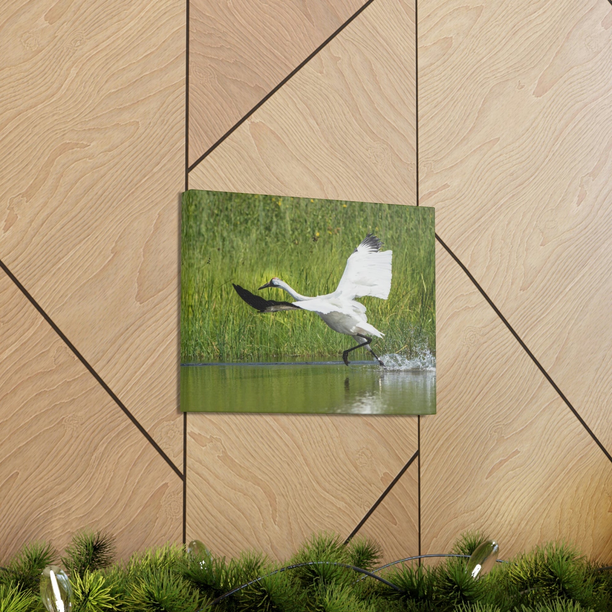 Funny Whooping Crane Silly Whooping Crane Scene Outside Wall Art Ready to Hang Unframed-Express Your Love Gifts