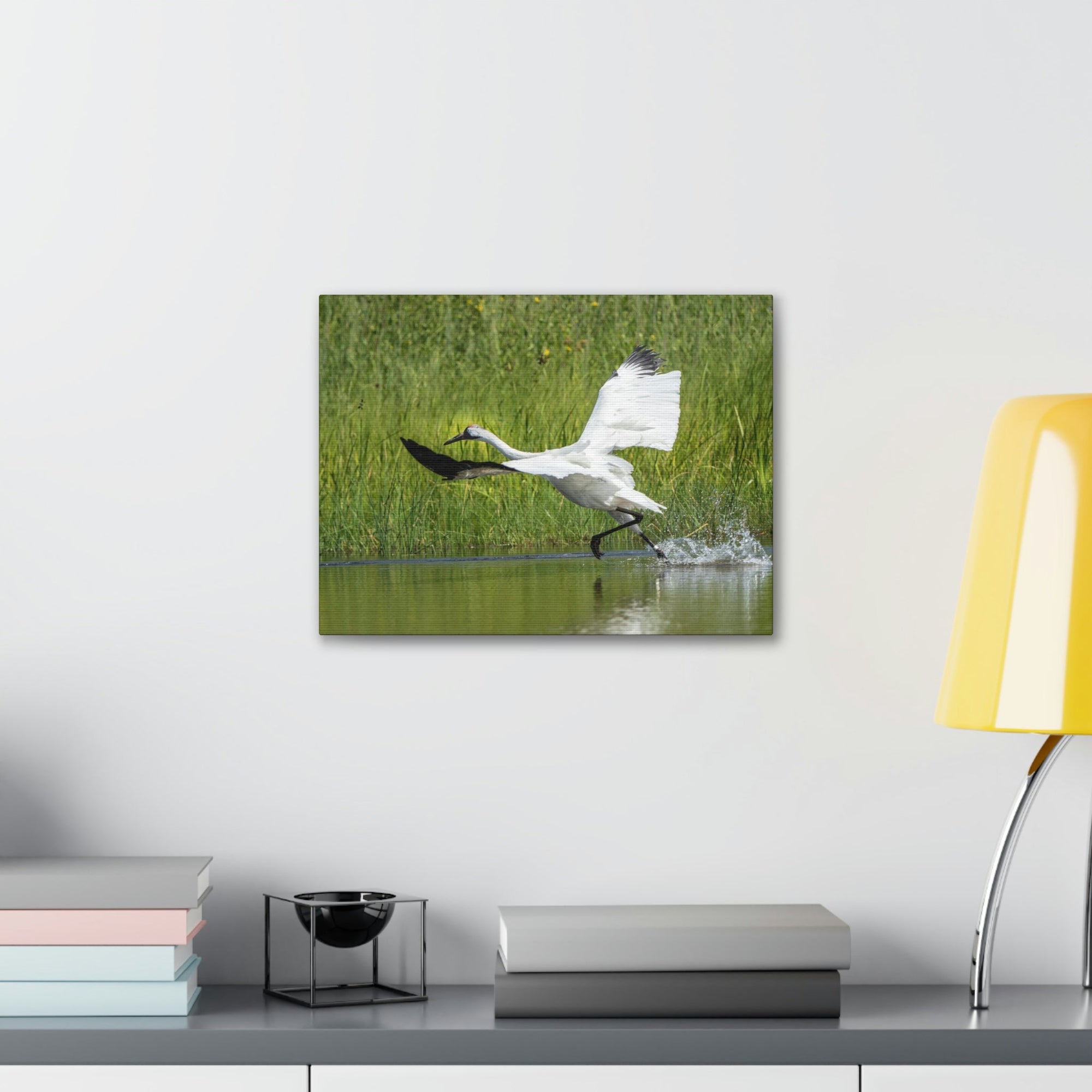 Funny Whooping Crane Silly Whooping Crane Scene Outside Wall Art Ready to Hang Unframed-Express Your Love Gifts