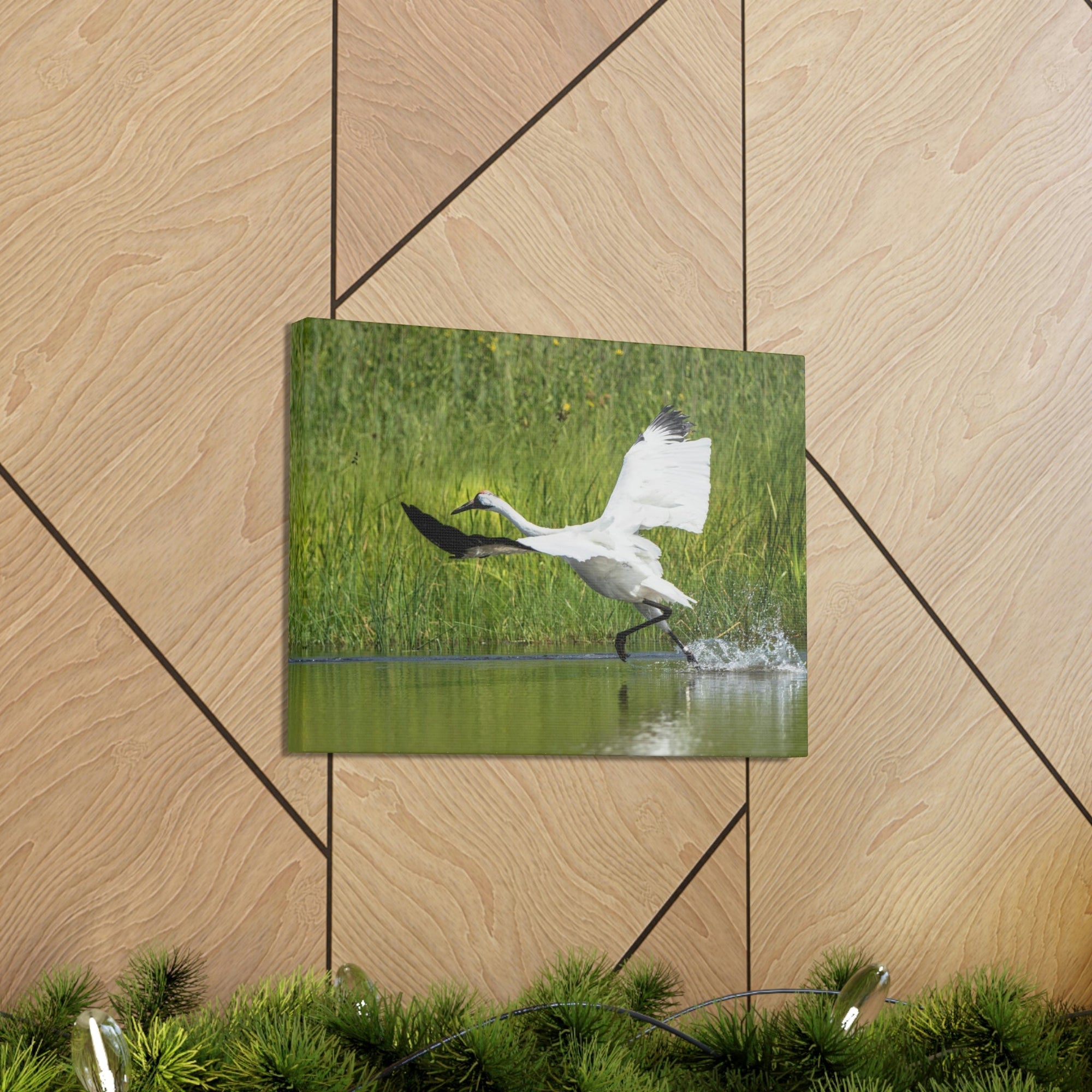 Funny Whooping Crane Silly Whooping Crane Scene Outside Wall Art Ready to Hang Unframed-Express Your Love Gifts