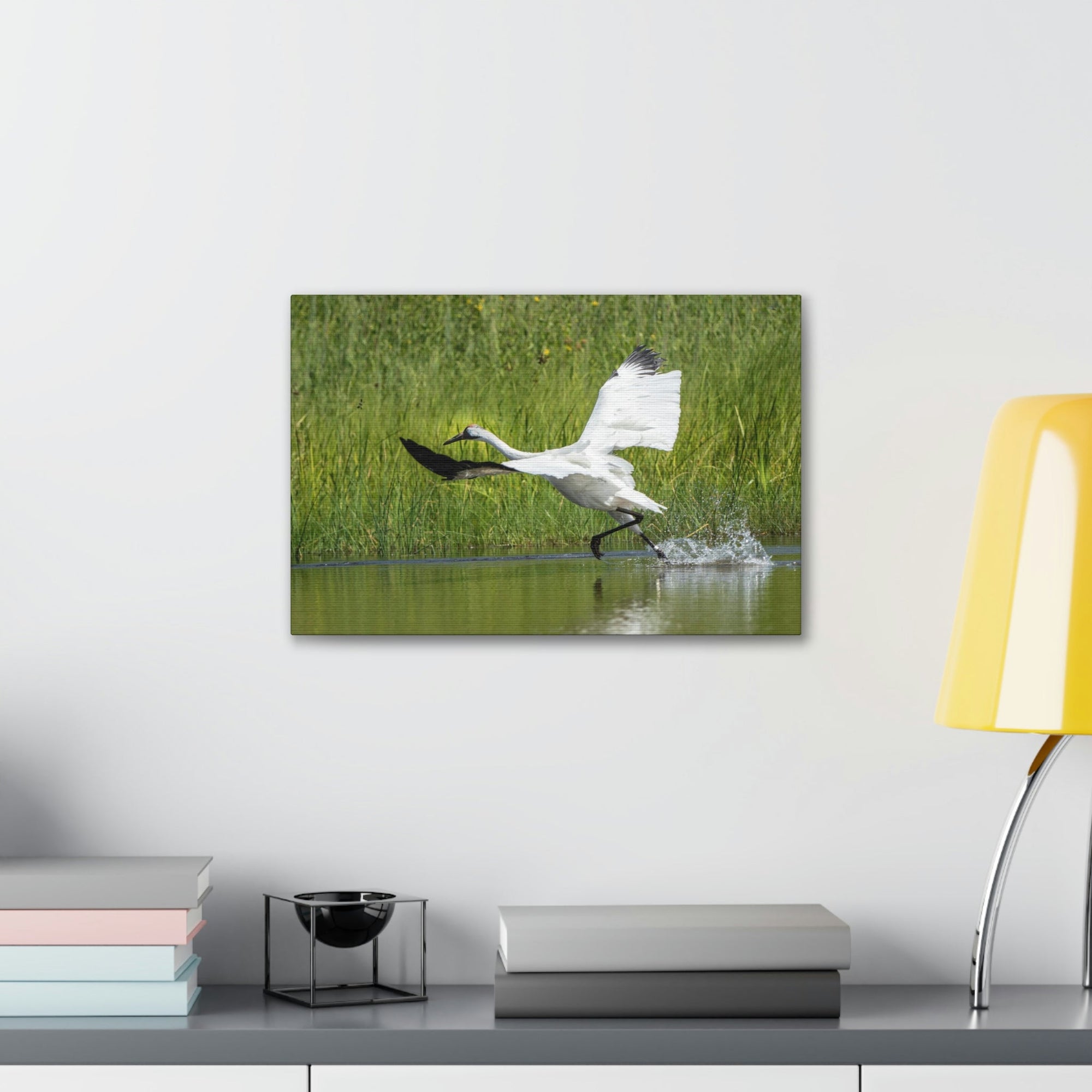 Funny Whooping Crane Silly Whooping Crane Scene Outside Wall Art Ready to Hang Unframed-Express Your Love Gifts