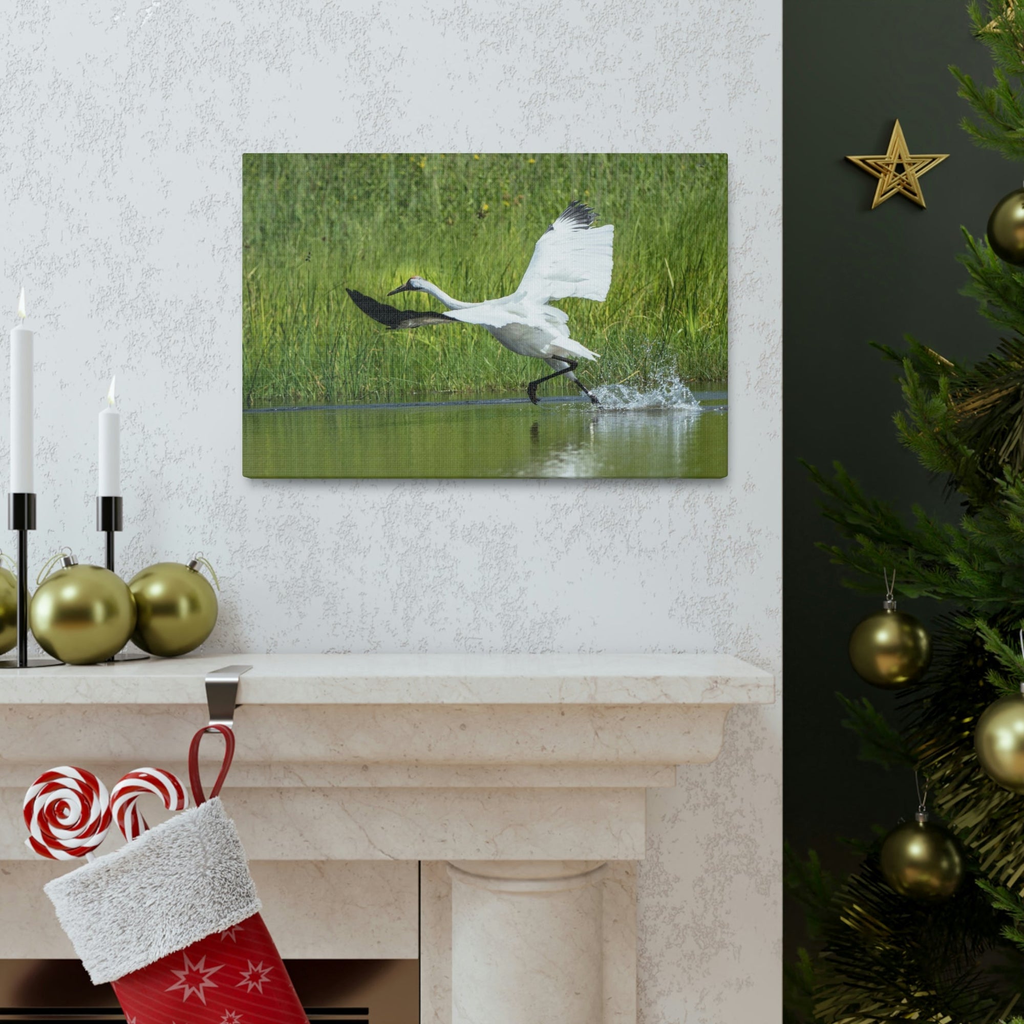 Funny Whooping Crane Silly Whooping Crane Scene Outside Wall Art Ready to Hang Unframed-Express Your Love Gifts