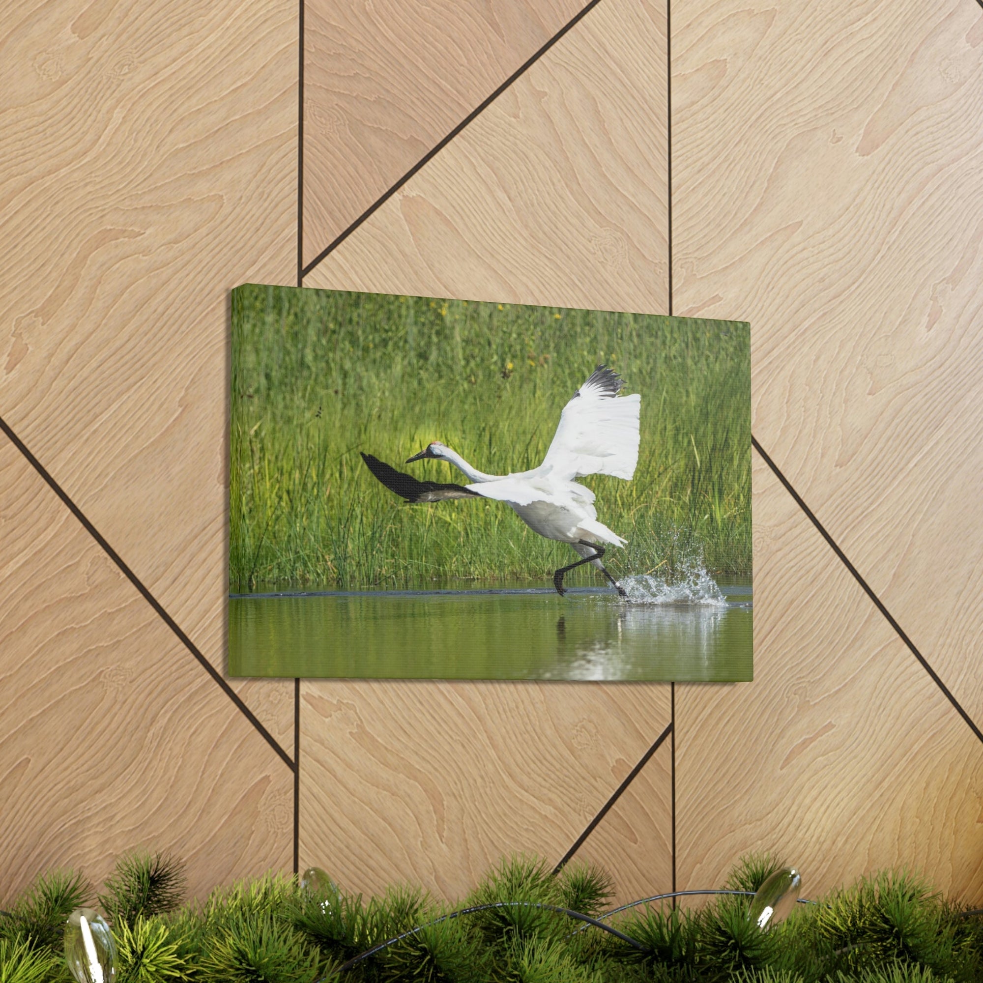 Funny Whooping Crane Silly Whooping Crane Scene Outside Wall Art Ready to Hang Unframed-Express Your Love Gifts