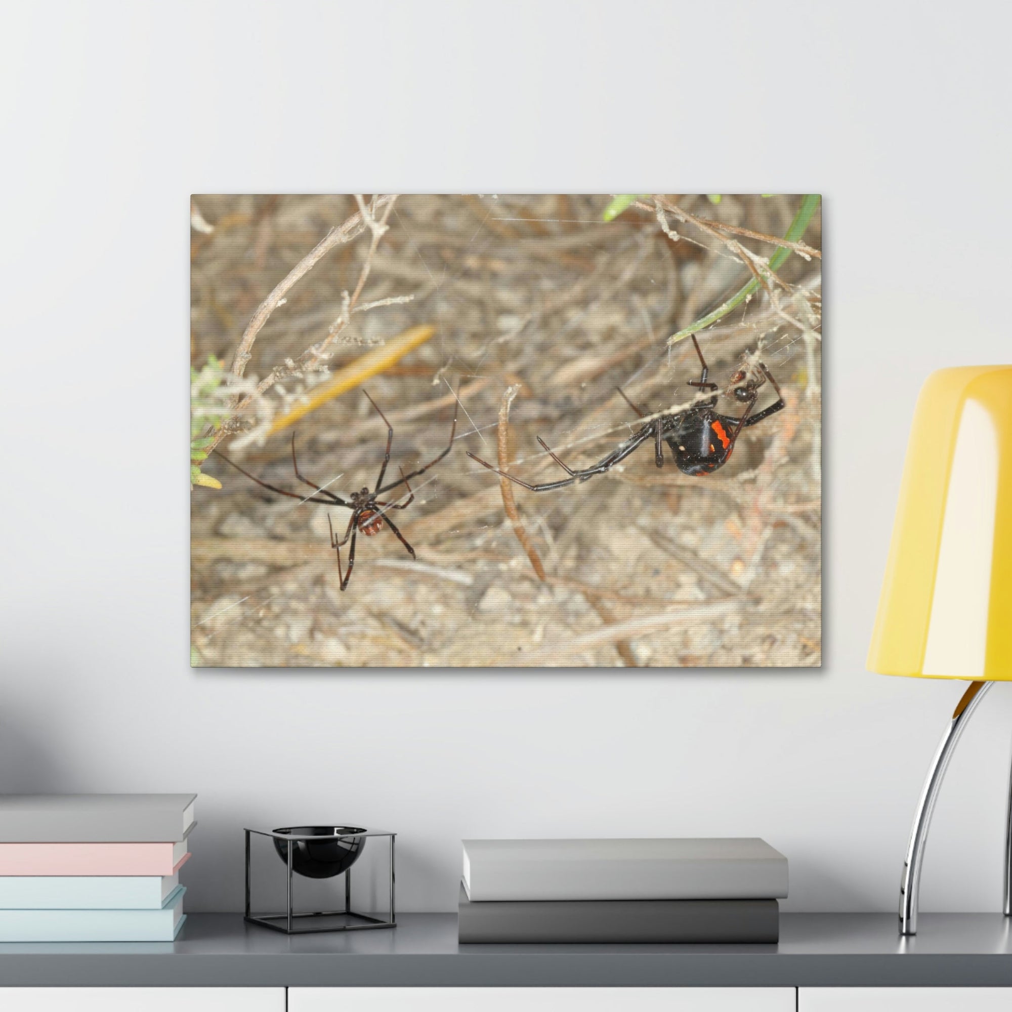 Funny Widow Spider Silly Widow Spider Scene Couple Wall Art Ready to Hang Unframed-Express Your Love Gifts