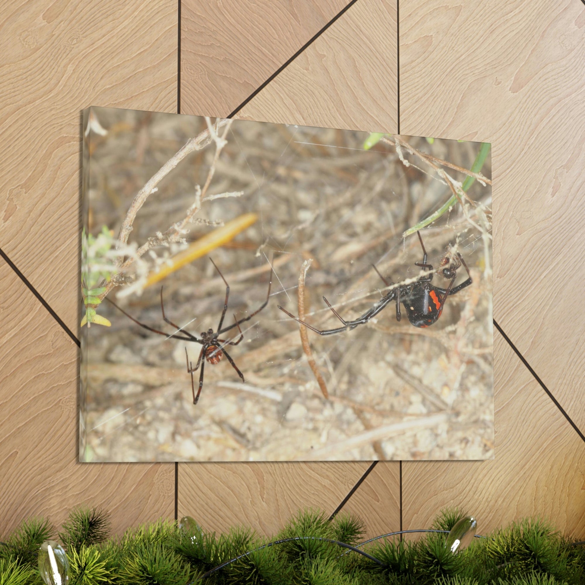 Funny Widow Spider Silly Widow Spider Scene Couple Wall Art Ready to Hang Unframed-Express Your Love Gifts