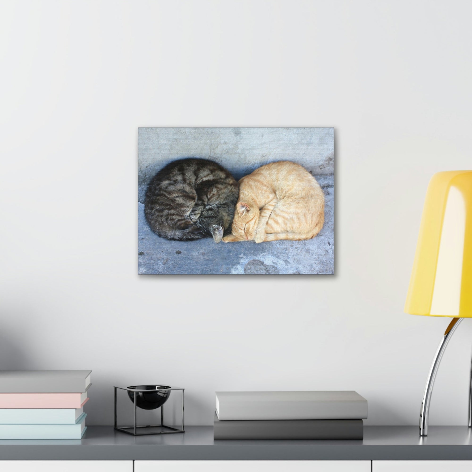 Funny Wild Cat Silly Wild Cat Couples Wall Art Ready to Hang Unframed-Express Your Love Gifts