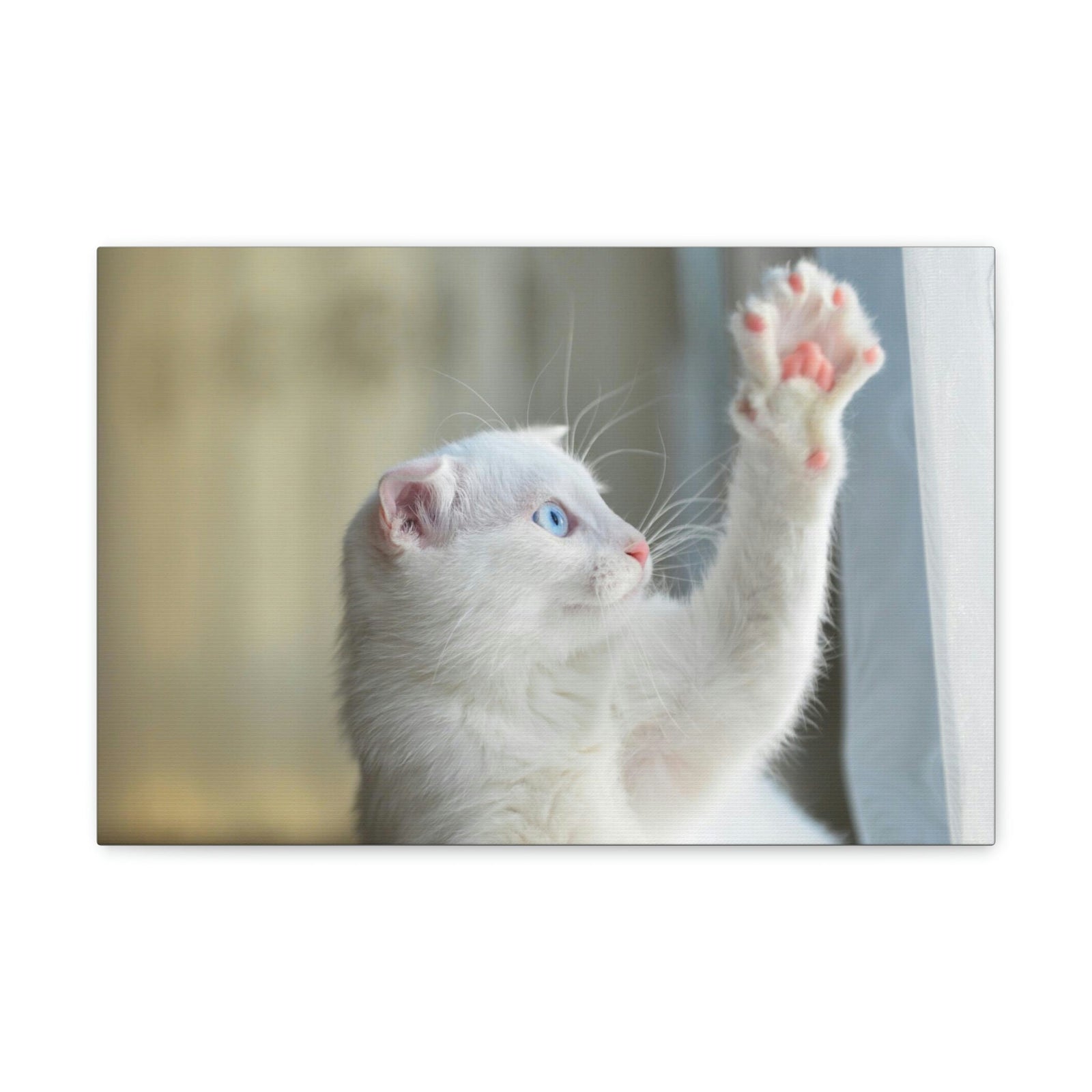 Funny Wild Cat Silly Wild Cat Inside Wall Art Ready to Hang Unframed-Express Your Love Gifts