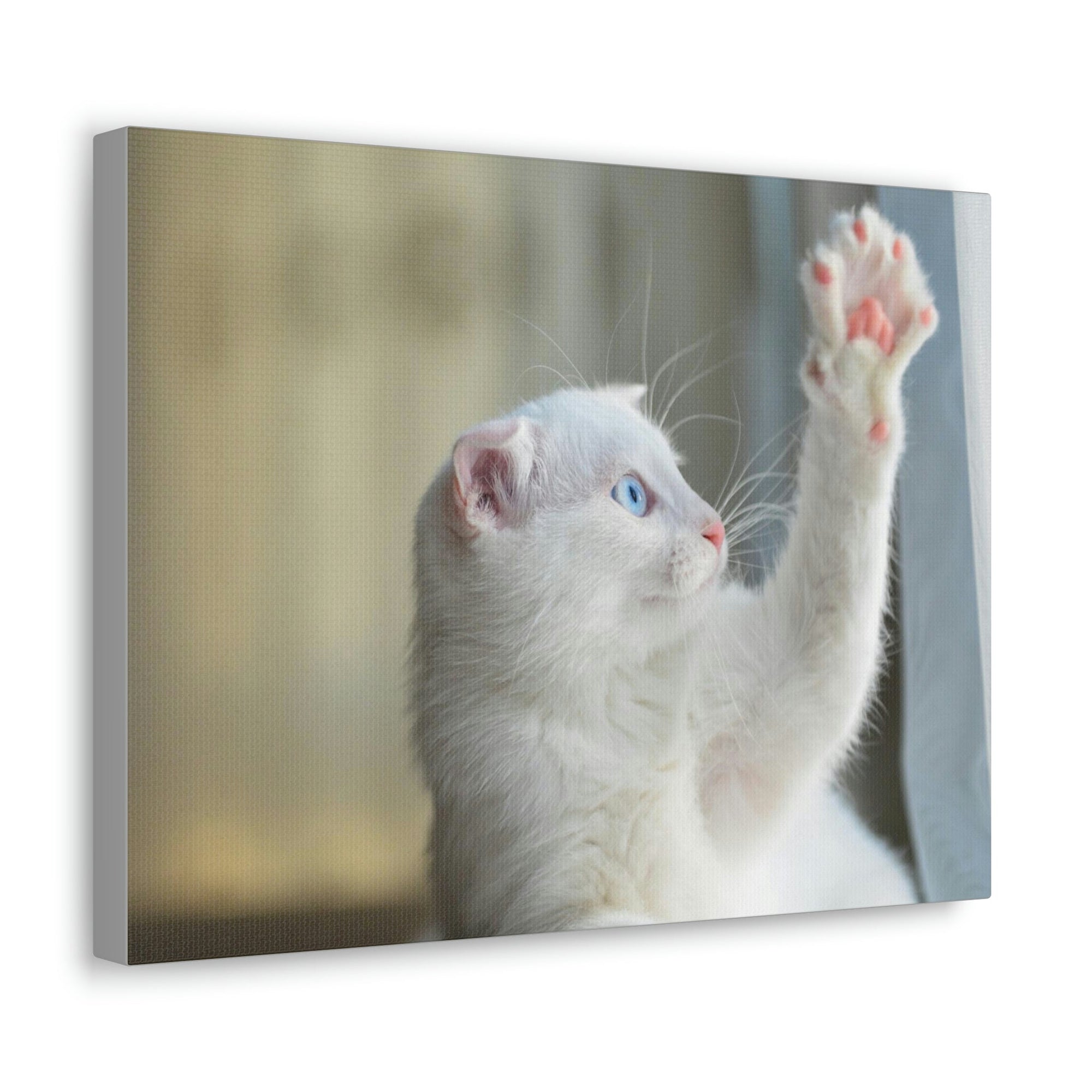 Funny Wild Cat Silly Wild Cat Inside Wall Art Ready to Hang Unframed-Express Your Love Gifts