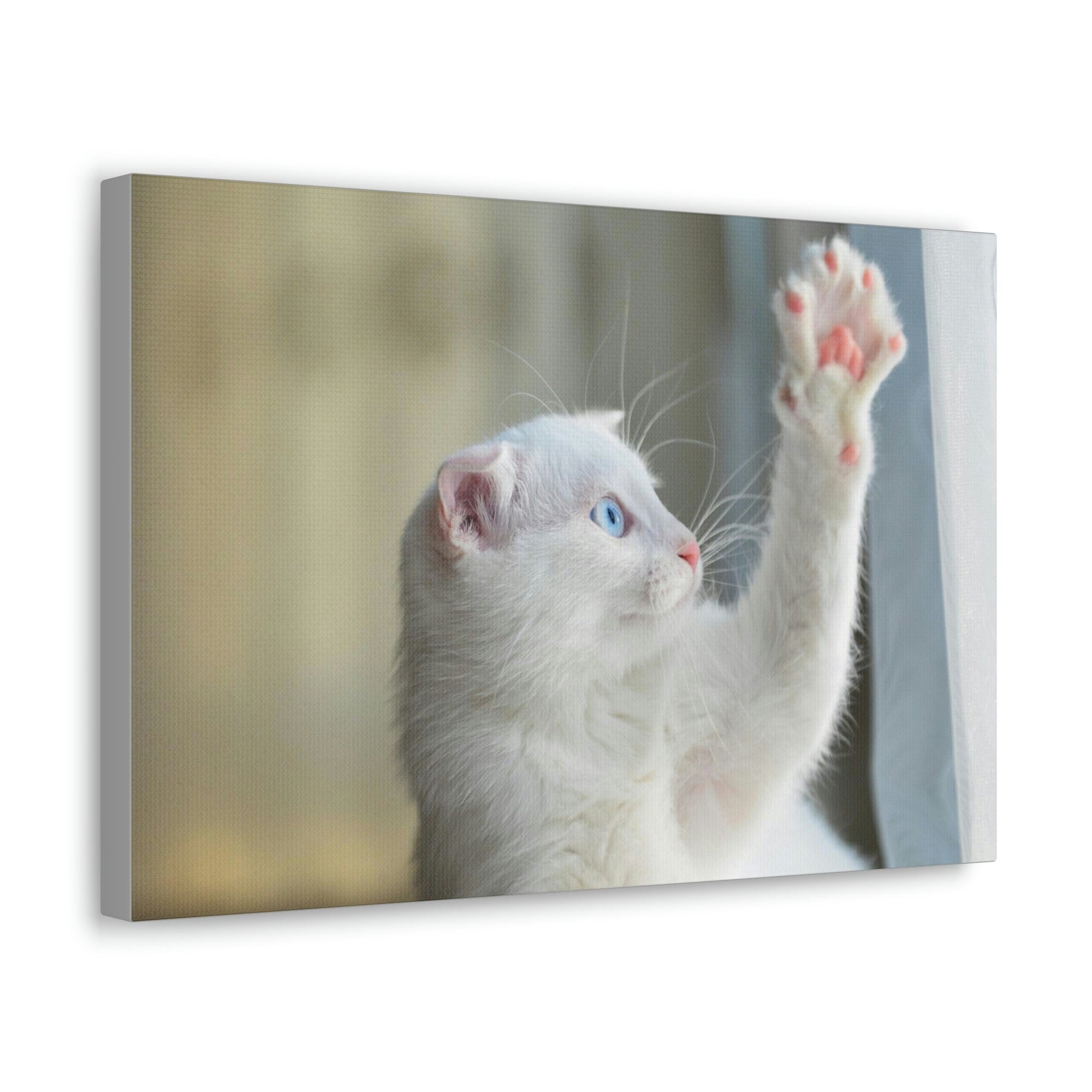 Funny Wild Cat Silly Wild Cat Inside Wall Art Ready to Hang Unframed-Express Your Love Gifts