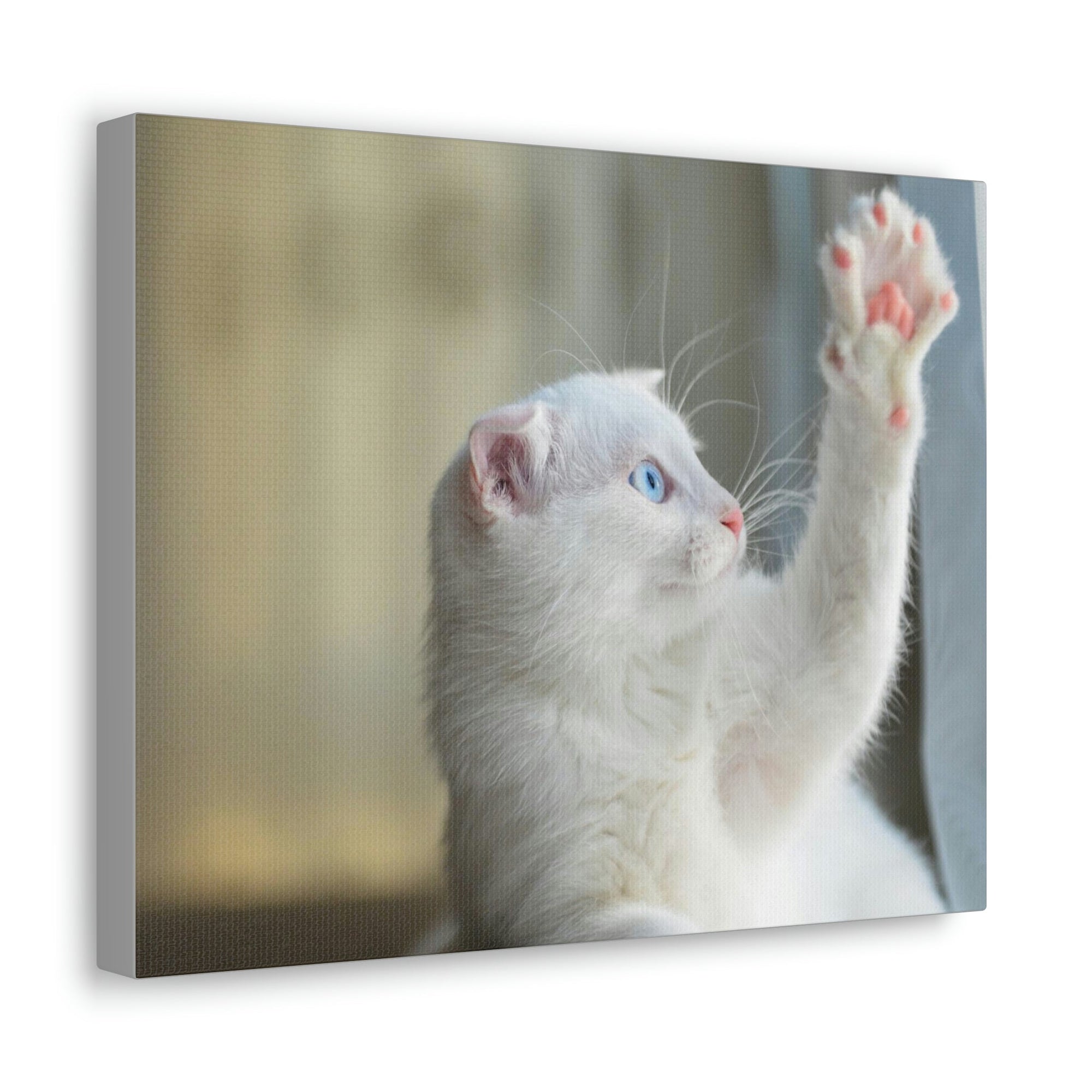 Funny Wild Cat Silly Wild Cat Inside Wall Art Ready to Hang Unframed-Express Your Love Gifts