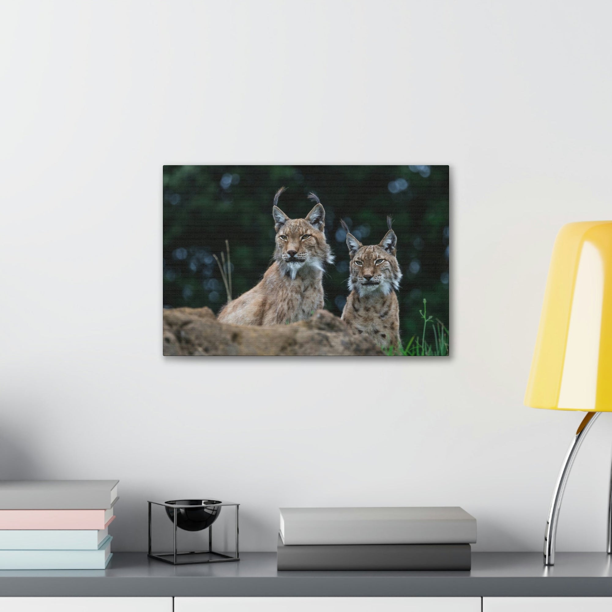 Funny Wildcat Silly Wildcat Scene Couple Wall Art Ready to Hang Unframed-Express Your Love Gifts