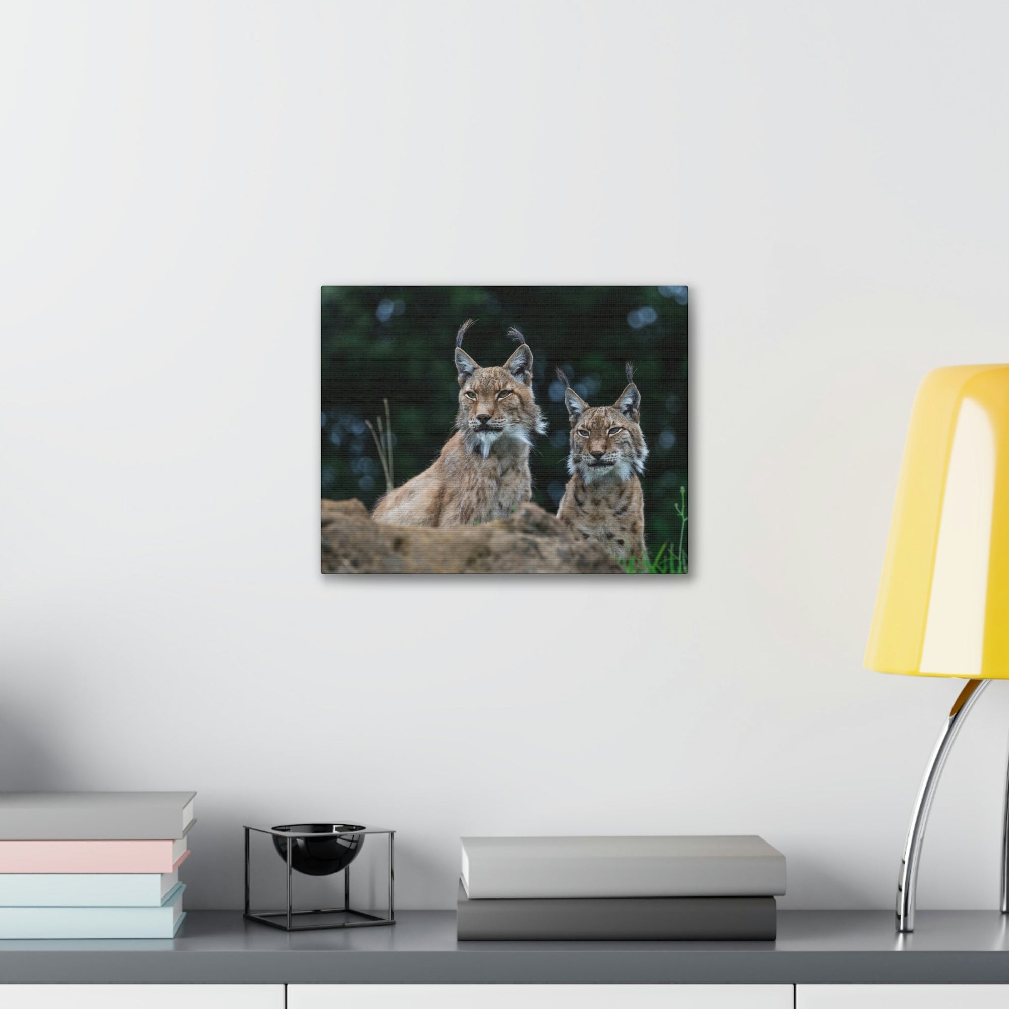 Funny Wildcat Silly Wildcat Scene Couple Wall Art Ready to Hang Unframed-Express Your Love Gifts