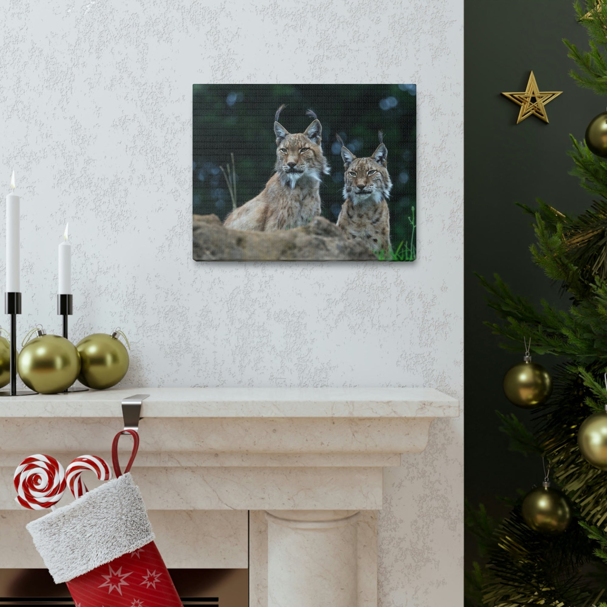 Funny Wildcat Silly Wildcat Scene Couple Wall Art Ready to Hang Unframed-Express Your Love Gifts