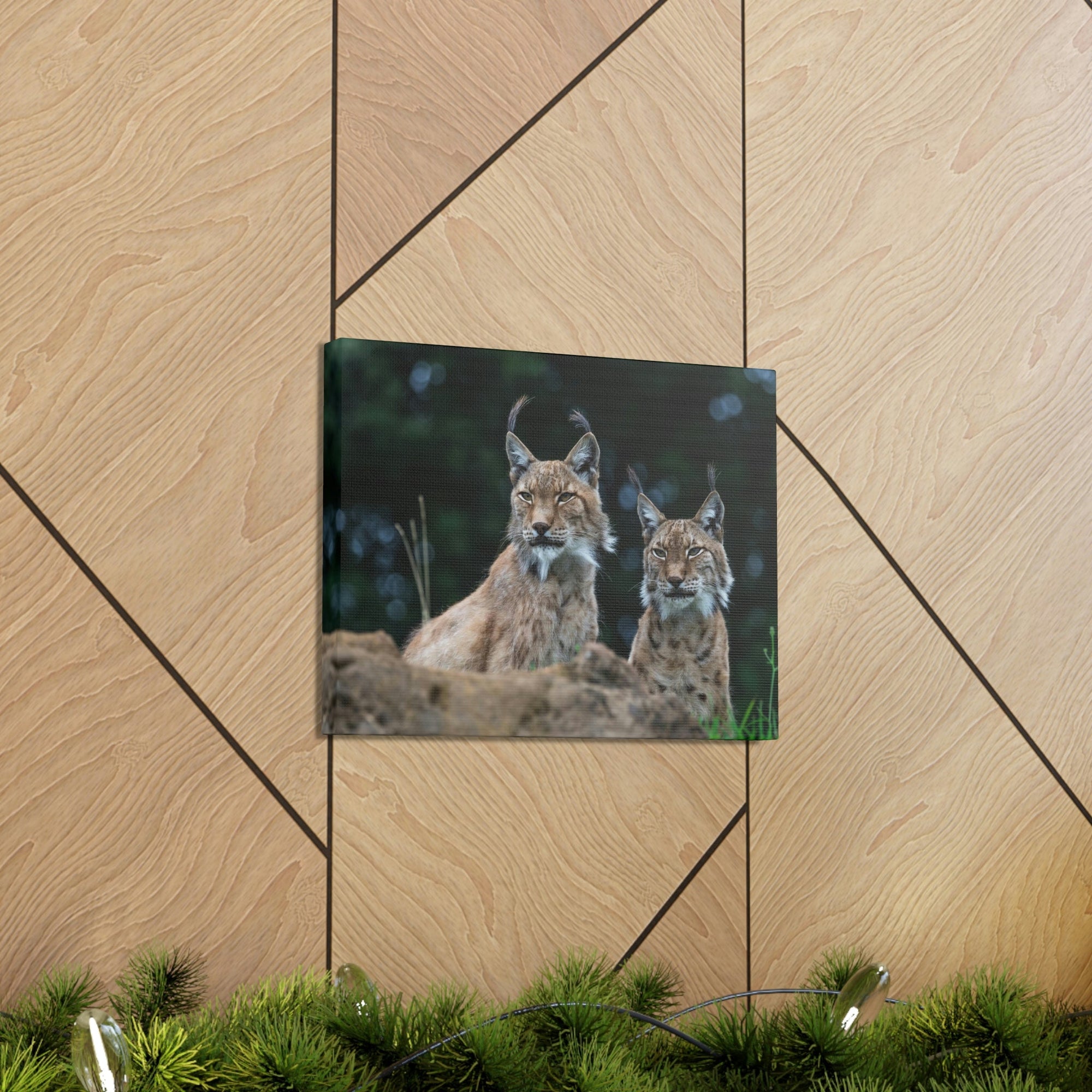 Funny Wildcat Silly Wildcat Scene Couple Wall Art Ready to Hang Unframed-Express Your Love Gifts