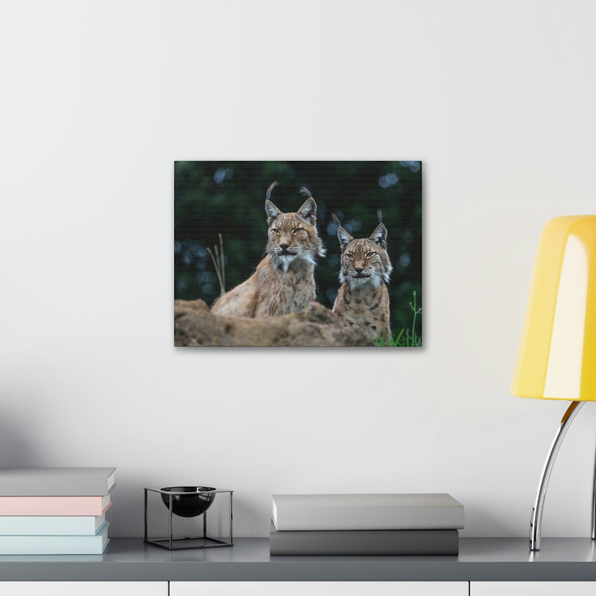 Funny Wildcat Silly Wildcat Scene Couple Wall Art Ready to Hang Unframed-Express Your Love Gifts