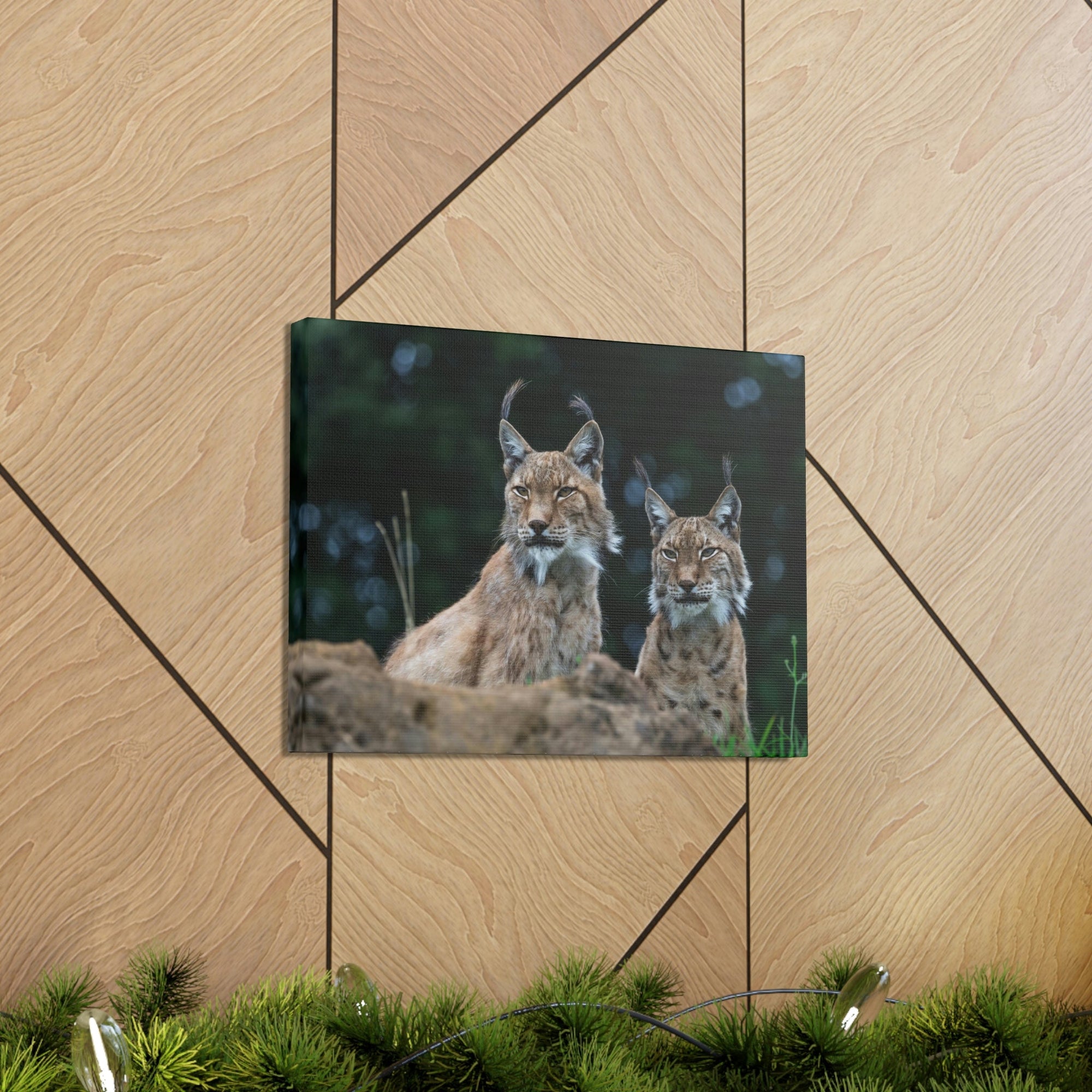 Funny Wildcat Silly Wildcat Scene Couple Wall Art Ready to Hang Unframed-Express Your Love Gifts