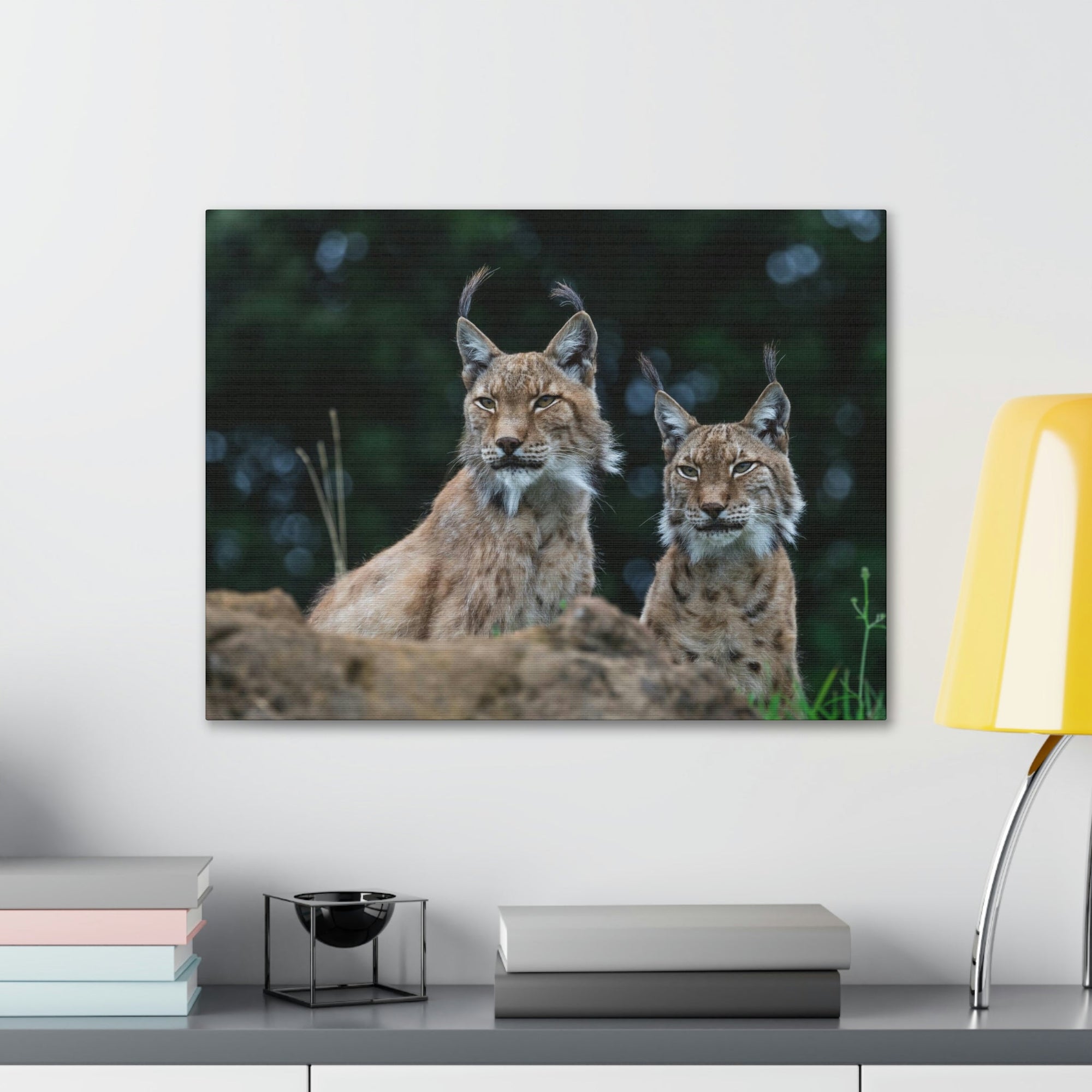 Funny Wildcat Silly Wildcat Scene Couple Wall Art Ready to Hang Unframed-Express Your Love Gifts