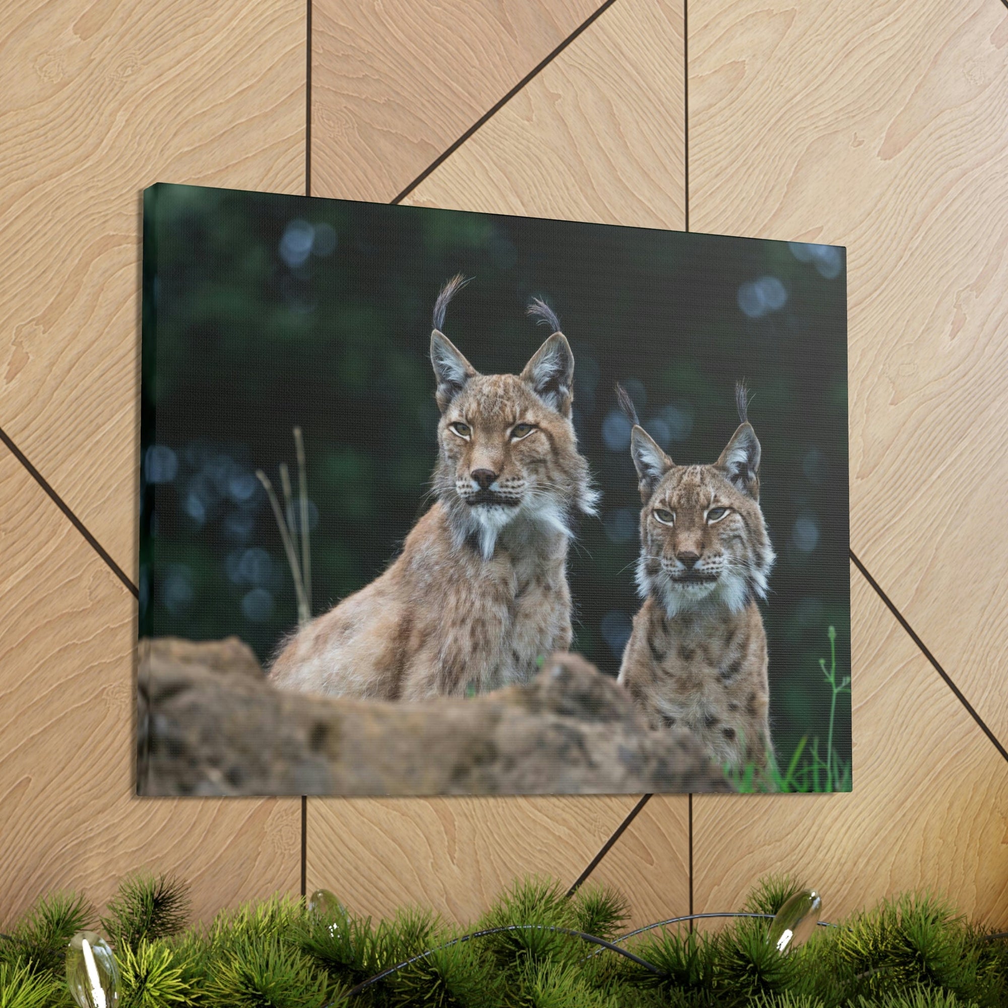 Funny Wildcat Silly Wildcat Scene Couple Wall Art Ready to Hang Unframed-Express Your Love Gifts