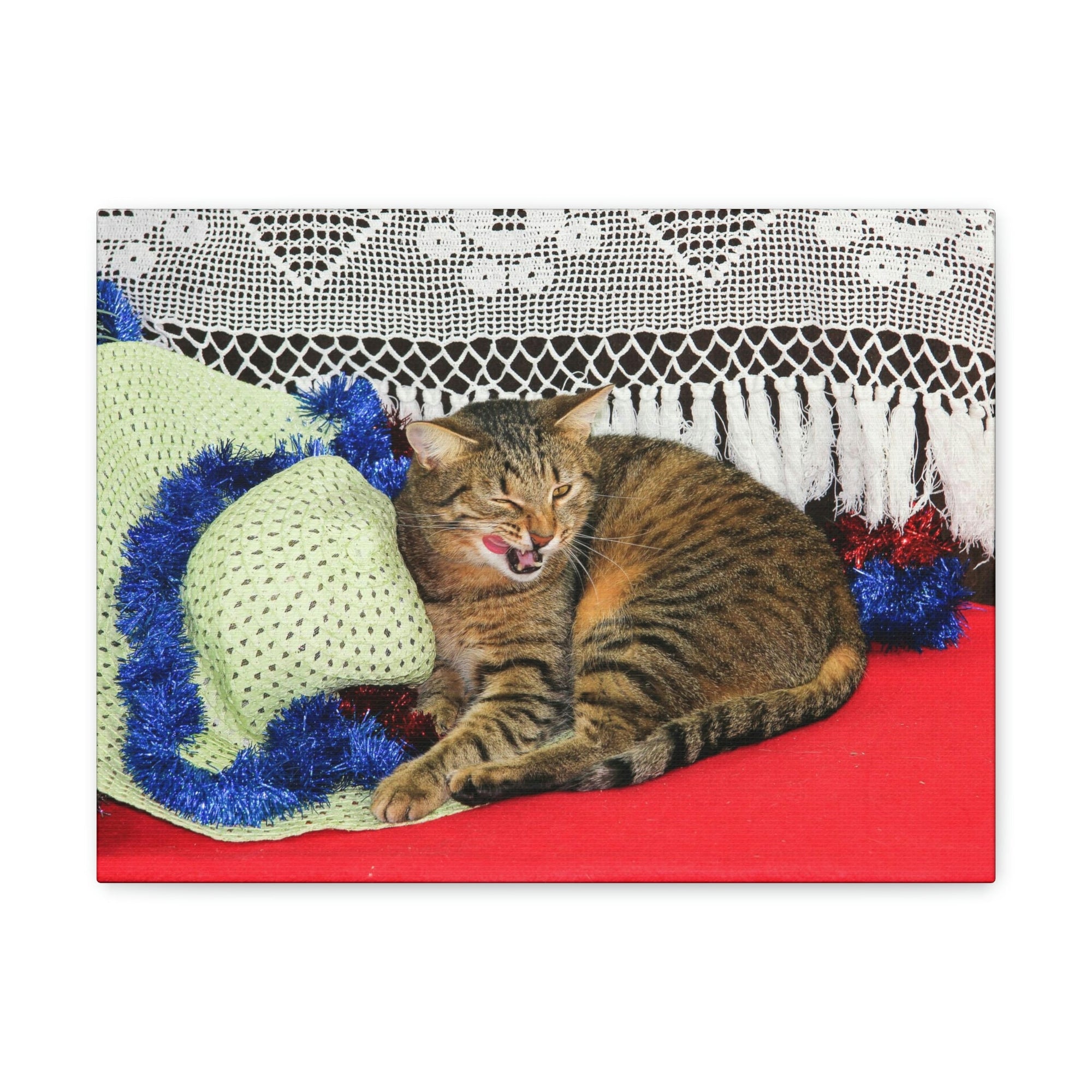 Funny Wildcat Silly Wildcat Scene Inside Wall Art Ready to Hang Unframed-Express Your Love Gifts