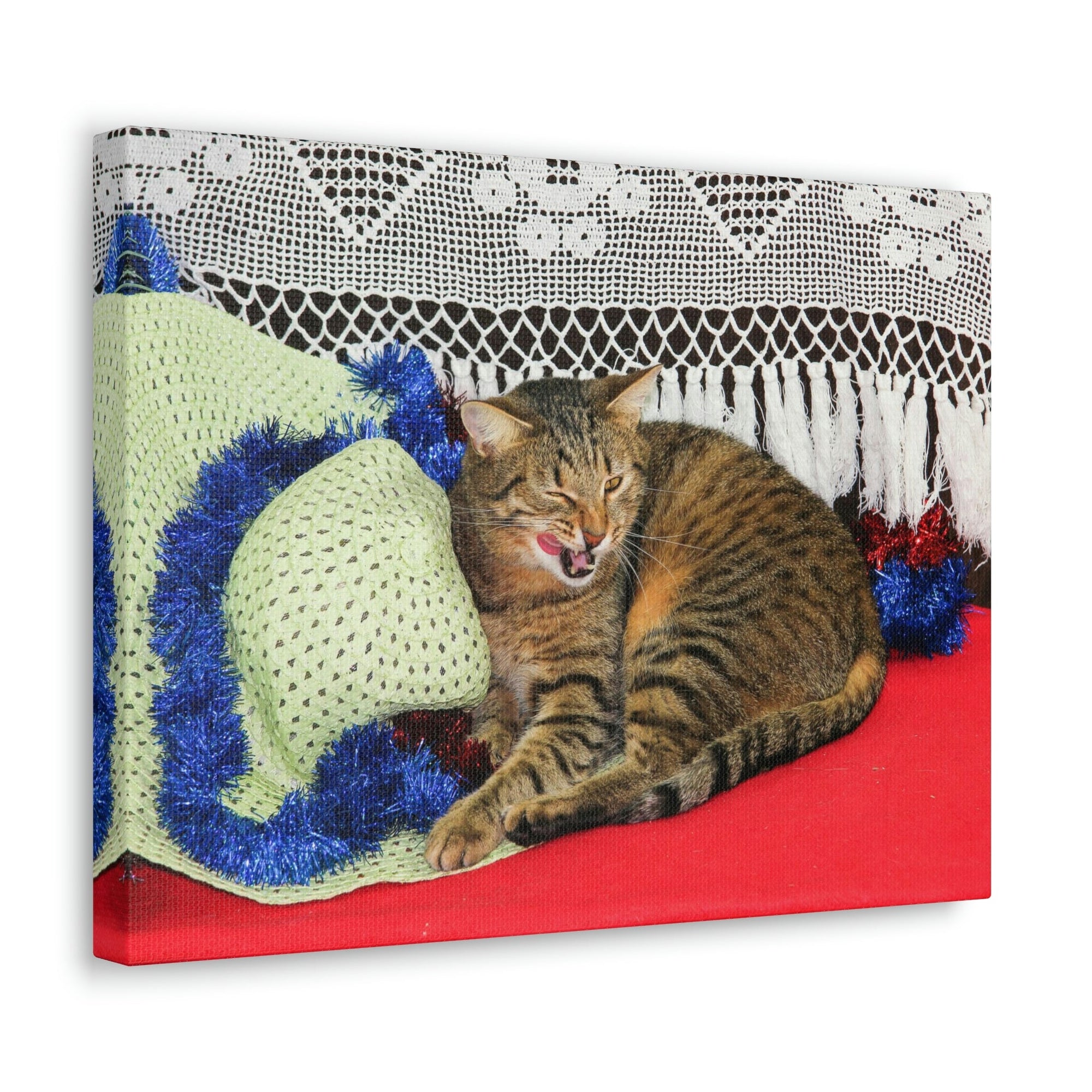 Funny Wildcat Silly Wildcat Scene Inside Wall Art Ready to Hang Unframed-Express Your Love Gifts