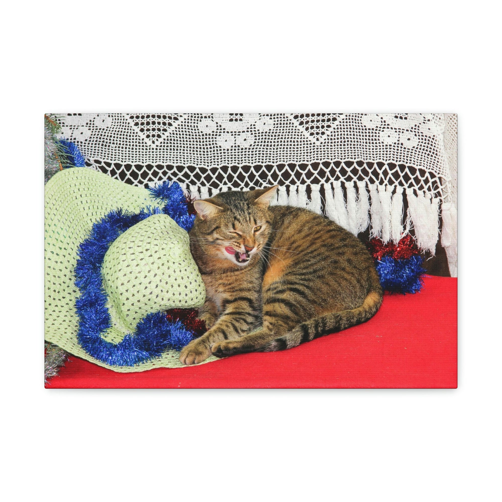 Funny Wildcat Silly Wildcat Scene Inside Wall Art Ready to Hang Unframed-Express Your Love Gifts