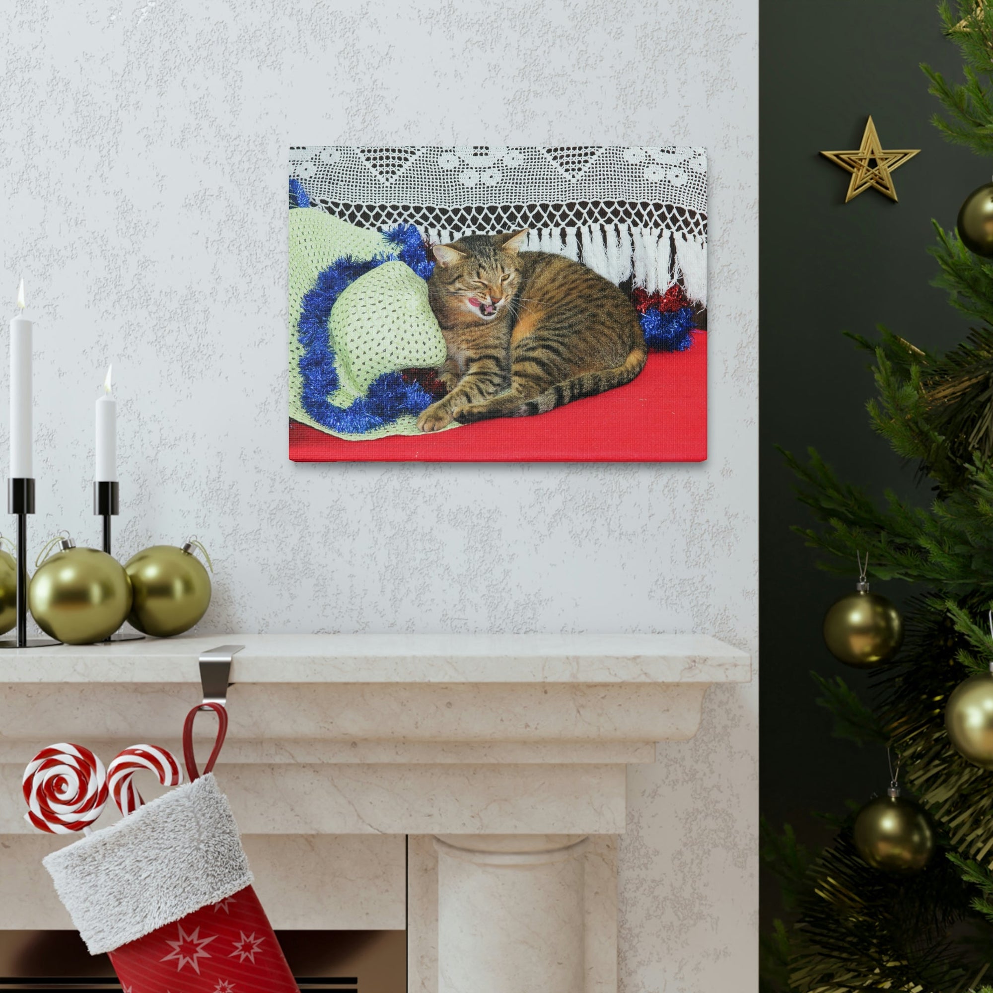 Funny Wildcat Silly Wildcat Scene Inside Wall Art Ready to Hang Unframed-Express Your Love Gifts