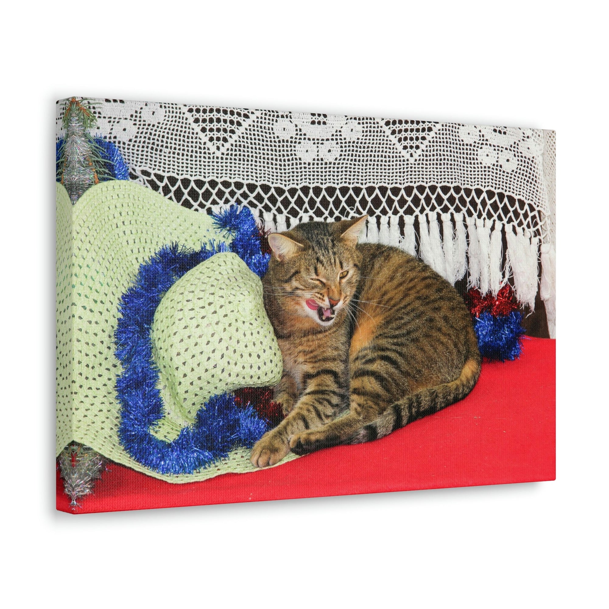 Funny Wildcat Silly Wildcat Scene Inside Wall Art Ready to Hang Unframed-Express Your Love Gifts