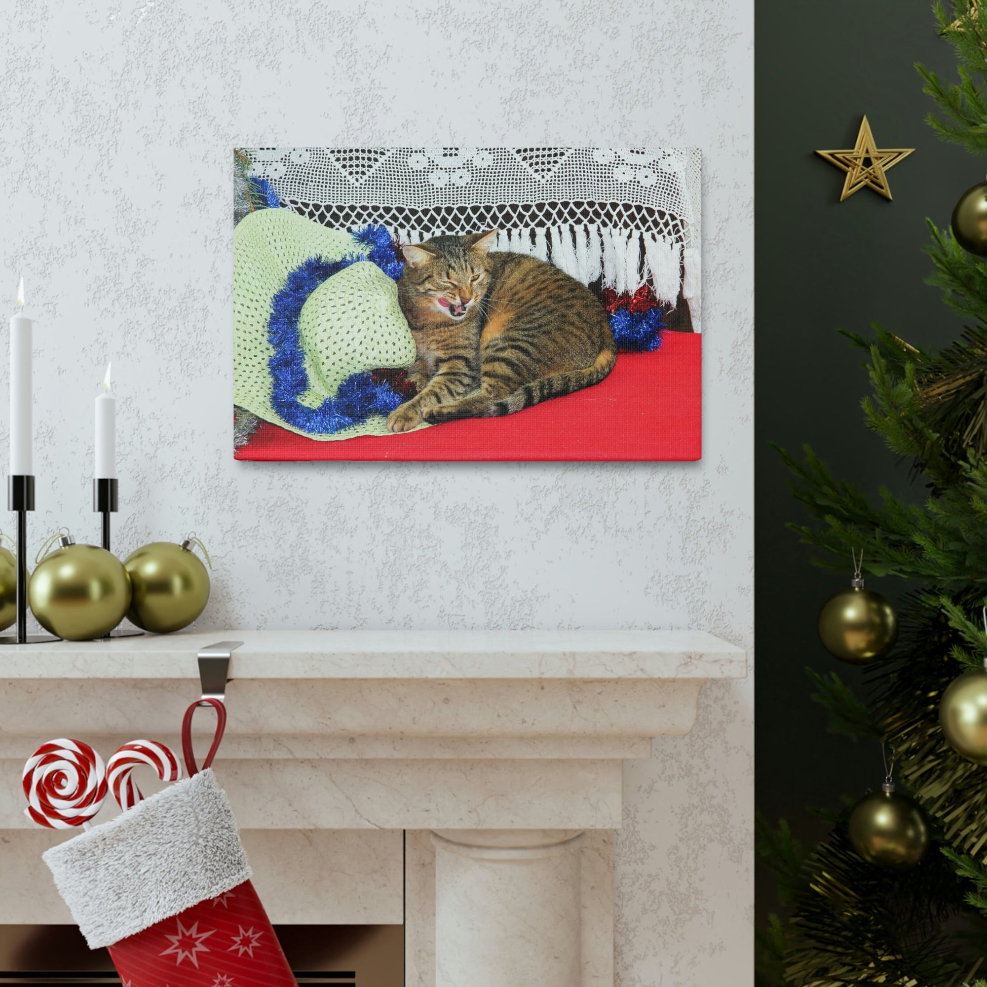 Funny Wildcat Silly Wildcat Scene Inside Wall Art Ready to Hang Unframed-Express Your Love Gifts