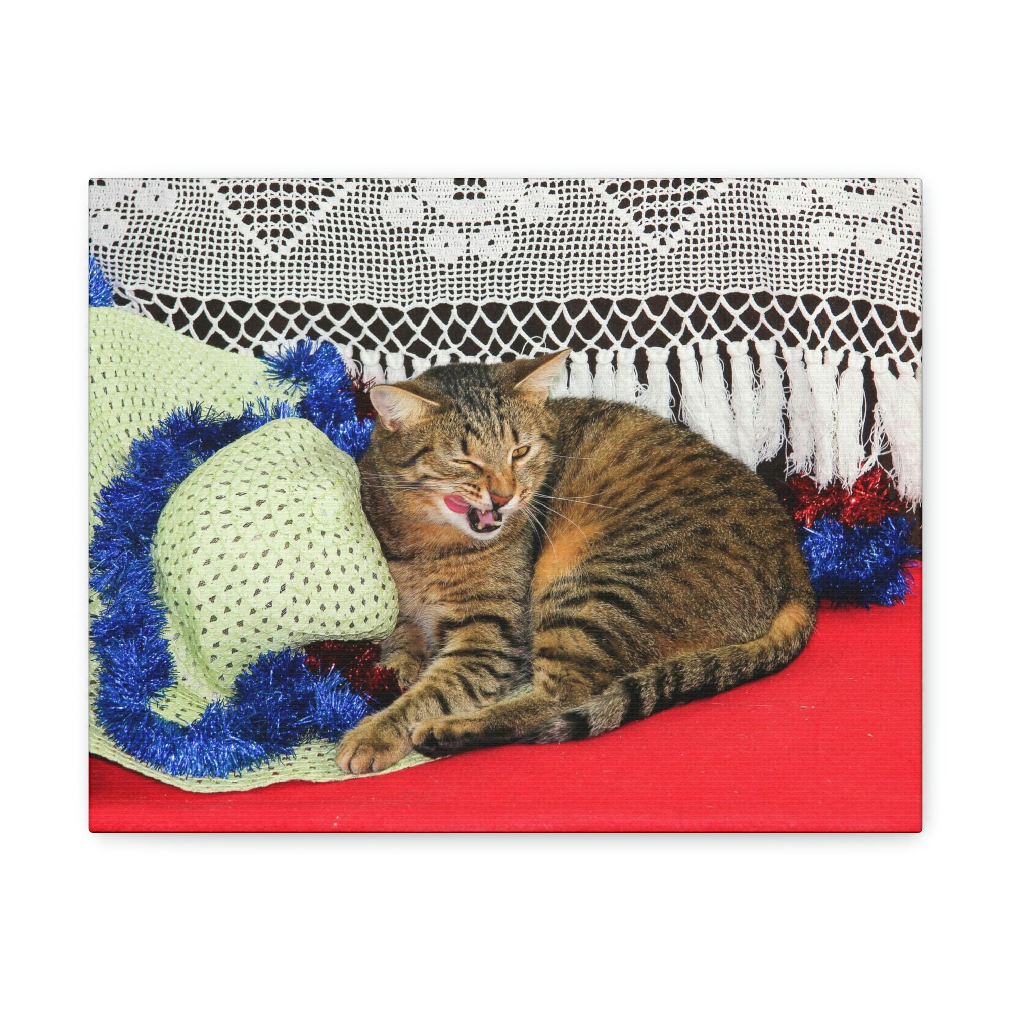 Funny Wildcat Silly Wildcat Scene Inside Wall Art Ready to Hang Unframed-Express Your Love Gifts