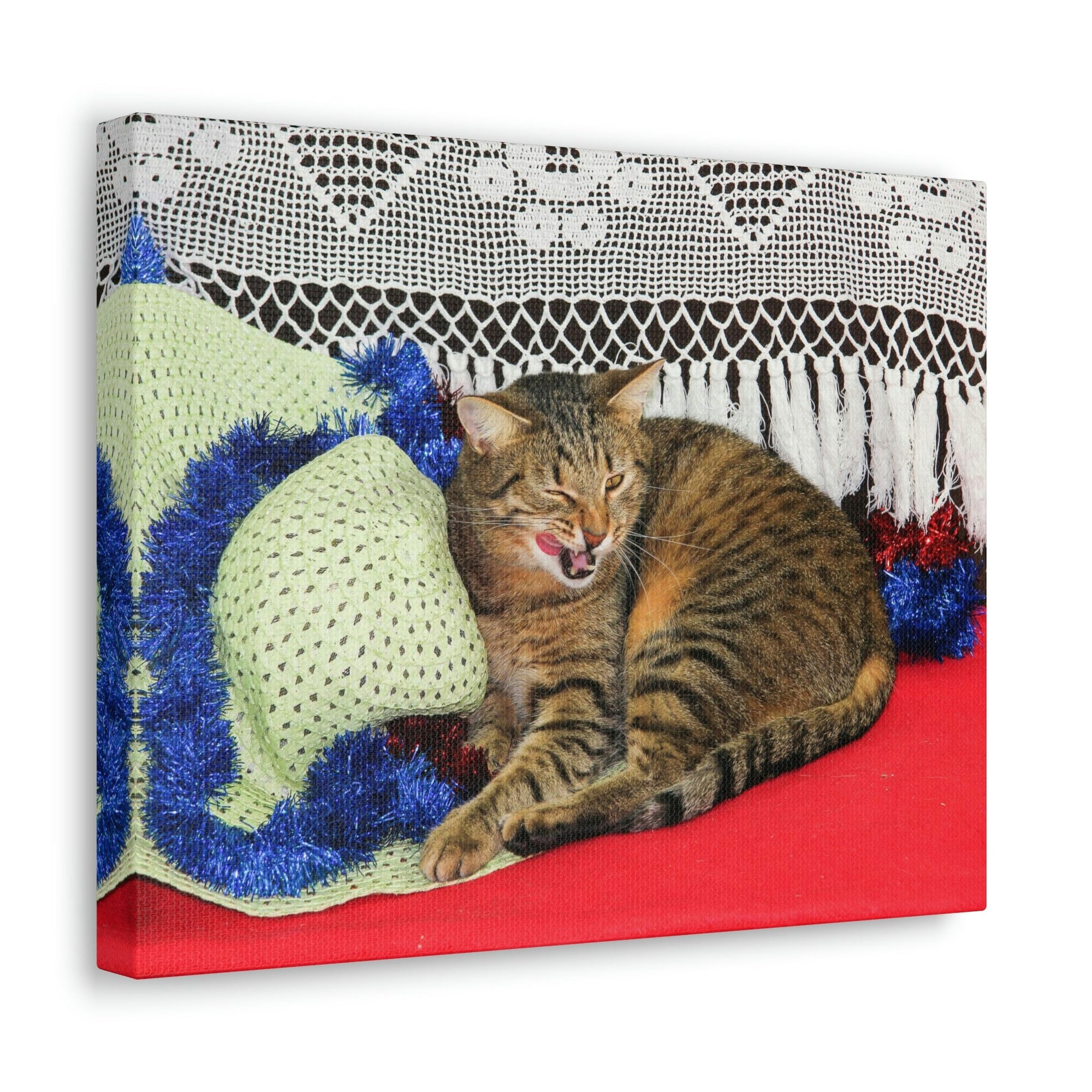 Funny Wildcat Silly Wildcat Scene Inside Wall Art Ready to Hang Unframed-Express Your Love Gifts