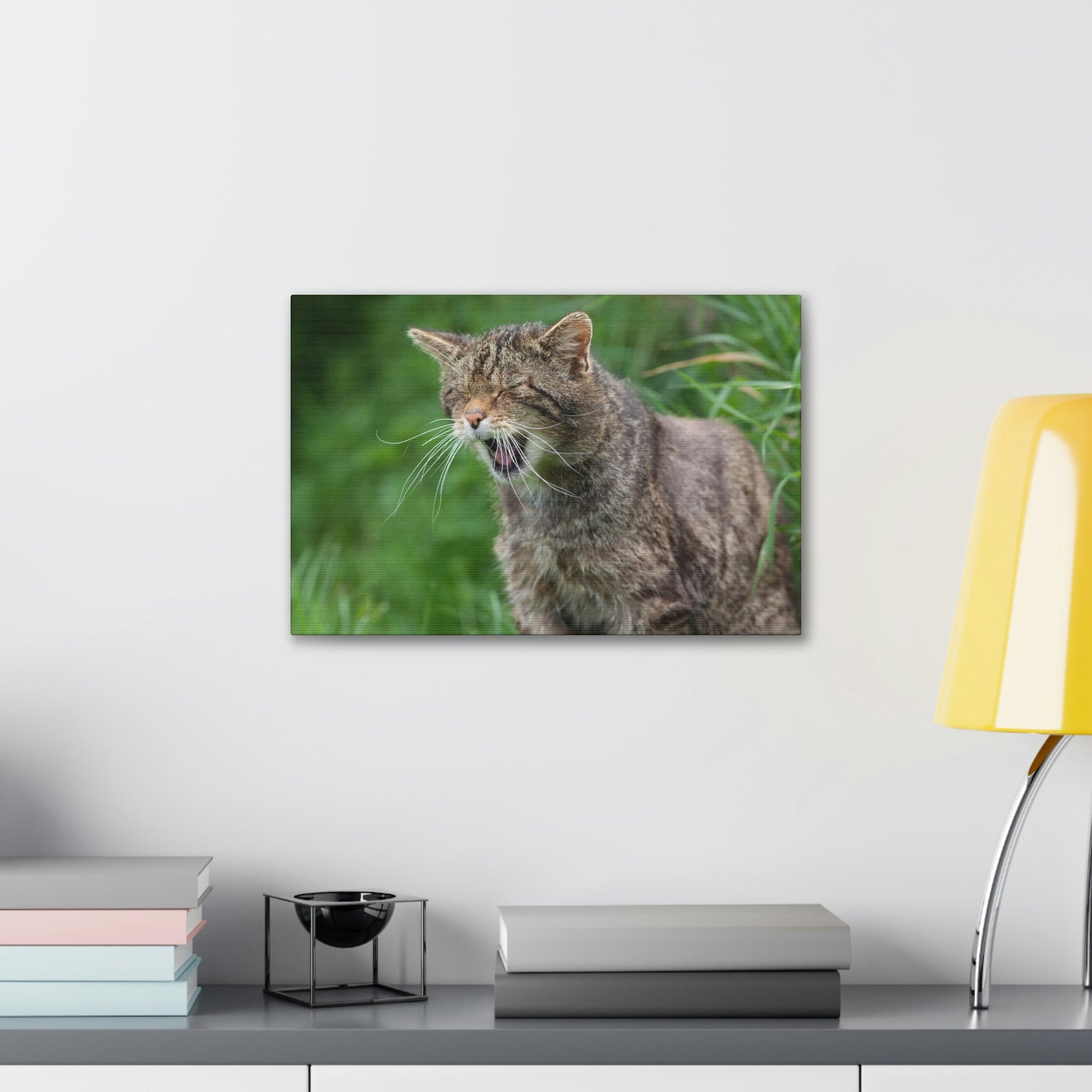 Funny Wildcat Silly Wildcat Scene Outside Wall Art Ready to Hang Unframed-Express Your Love Gifts