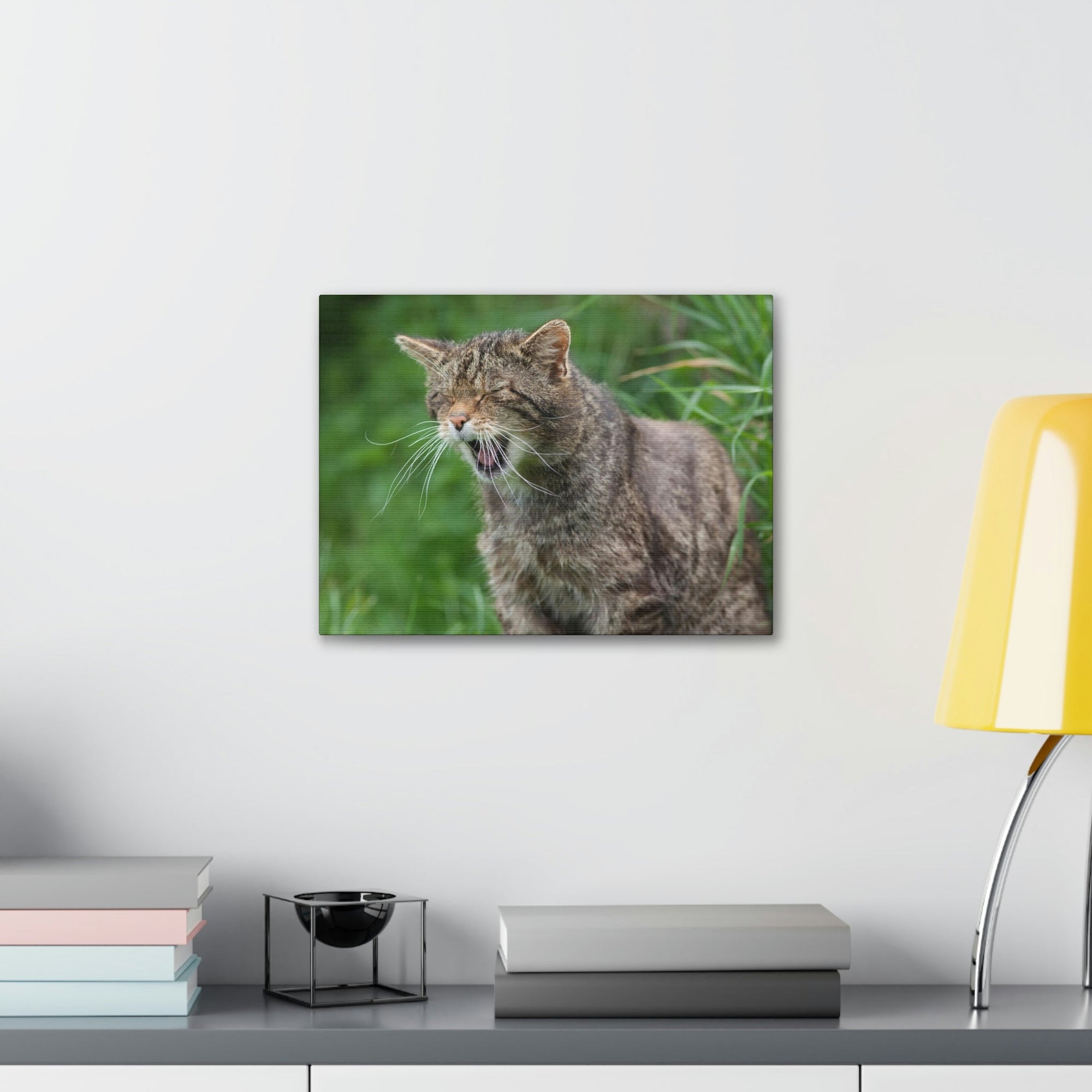 Funny Wildcat Silly Wildcat Scene Outside Wall Art Ready to Hang Unframed-Express Your Love Gifts