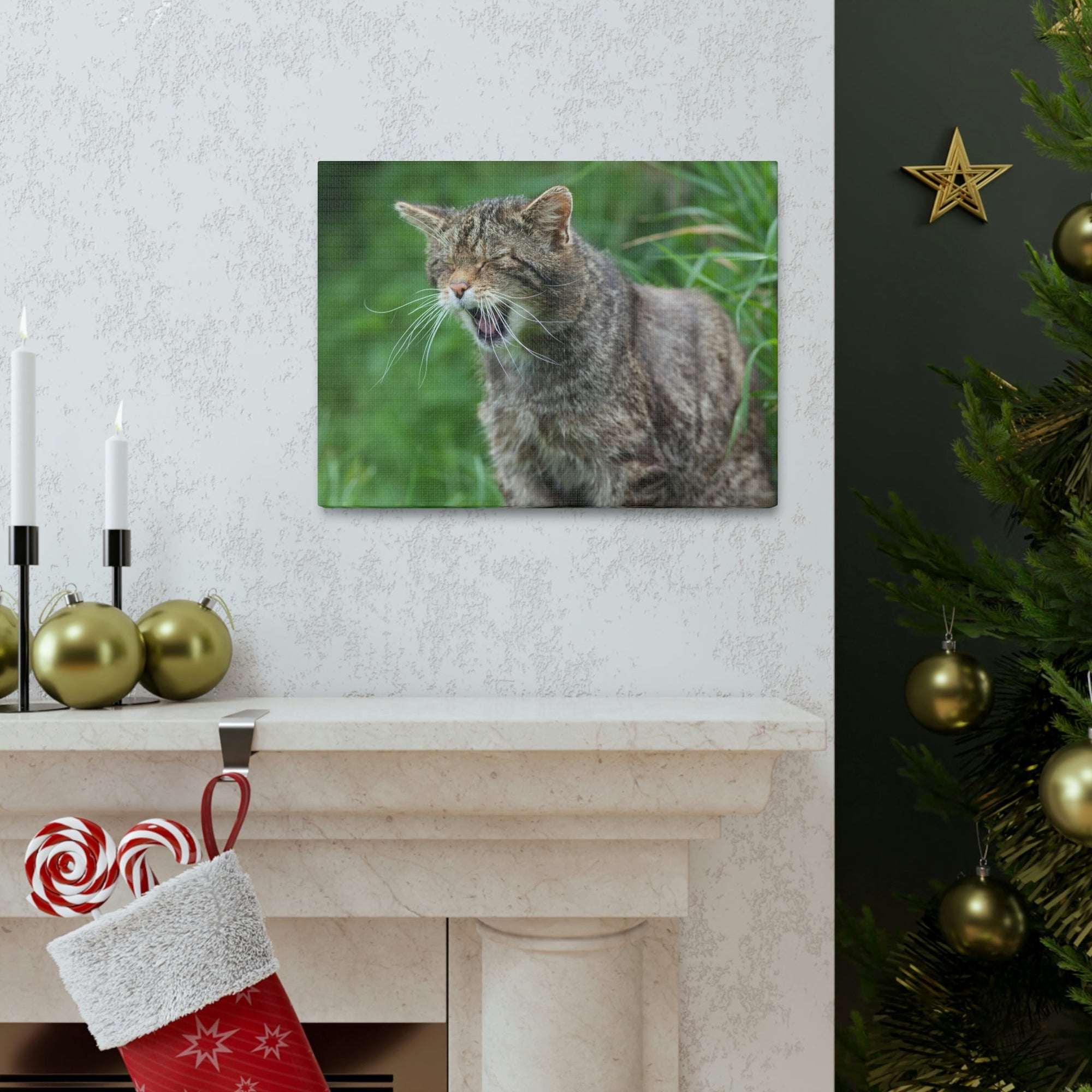 Funny Wildcat Silly Wildcat Scene Outside Wall Art Ready to Hang Unframed-Express Your Love Gifts