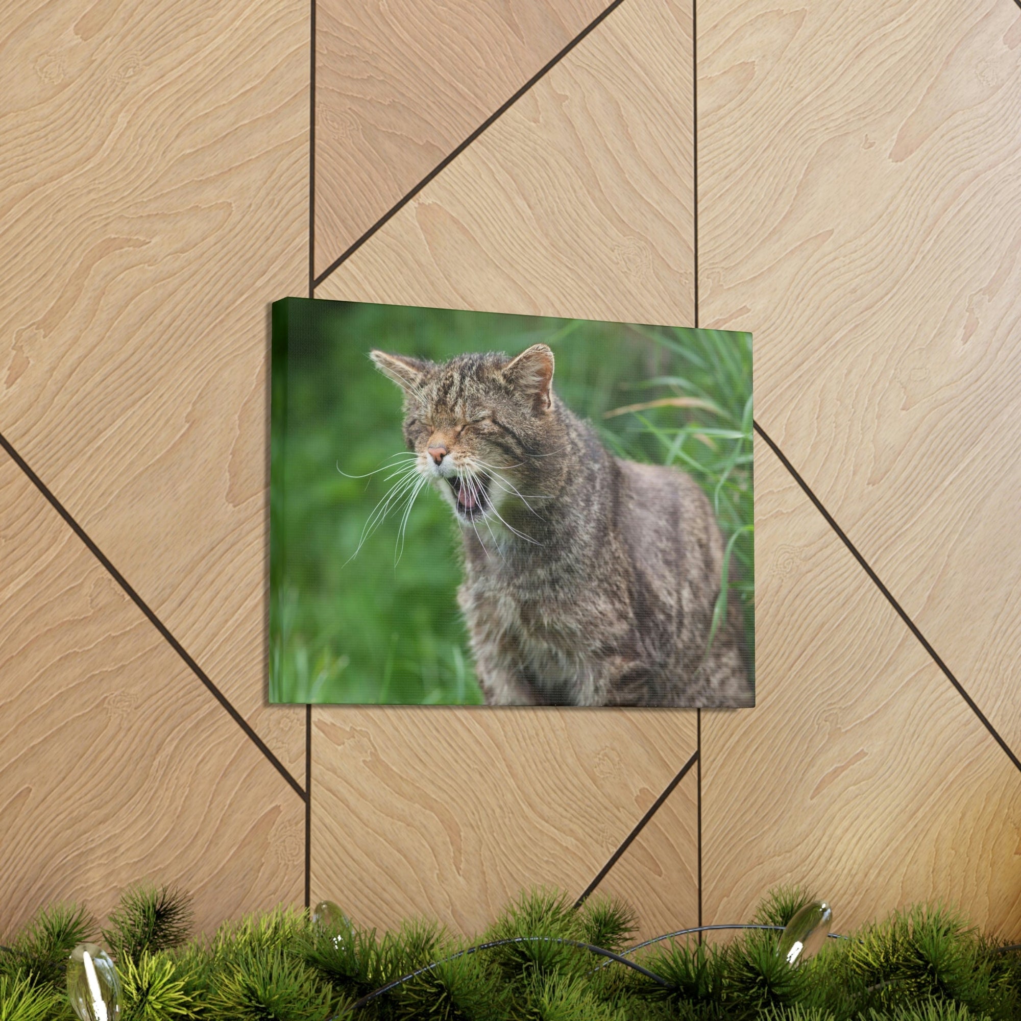 Funny Wildcat Silly Wildcat Scene Outside Wall Art Ready to Hang Unframed-Express Your Love Gifts