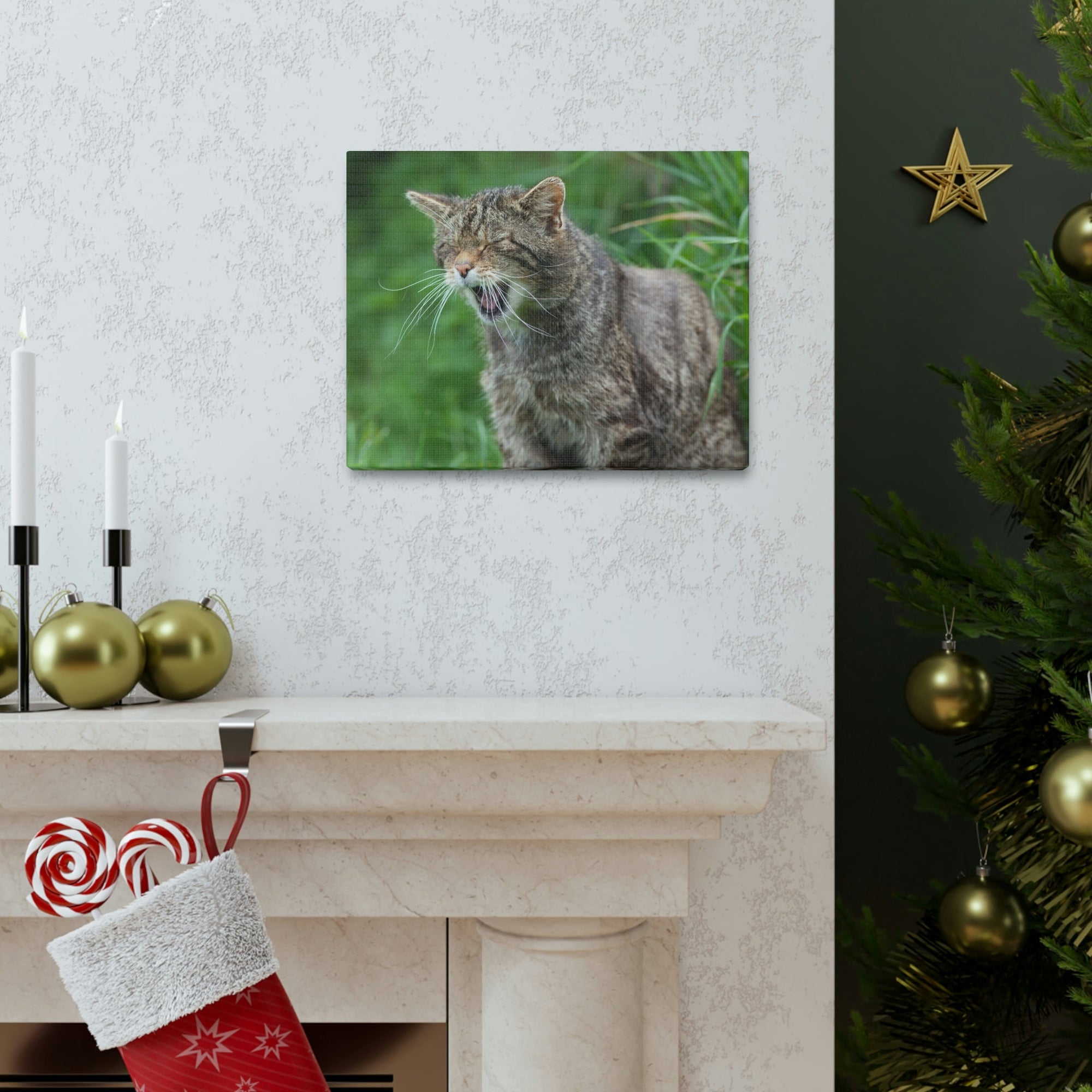 Funny Wildcat Silly Wildcat Scene Outside Wall Art Ready to Hang Unframed-Express Your Love Gifts