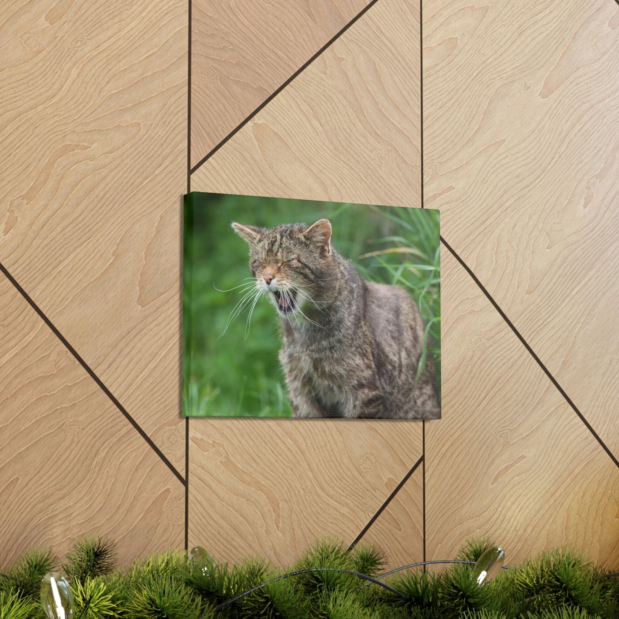 Funny Wildcat Silly Wildcat Scene Outside Wall Art Ready to Hang Unframed-Express Your Love Gifts