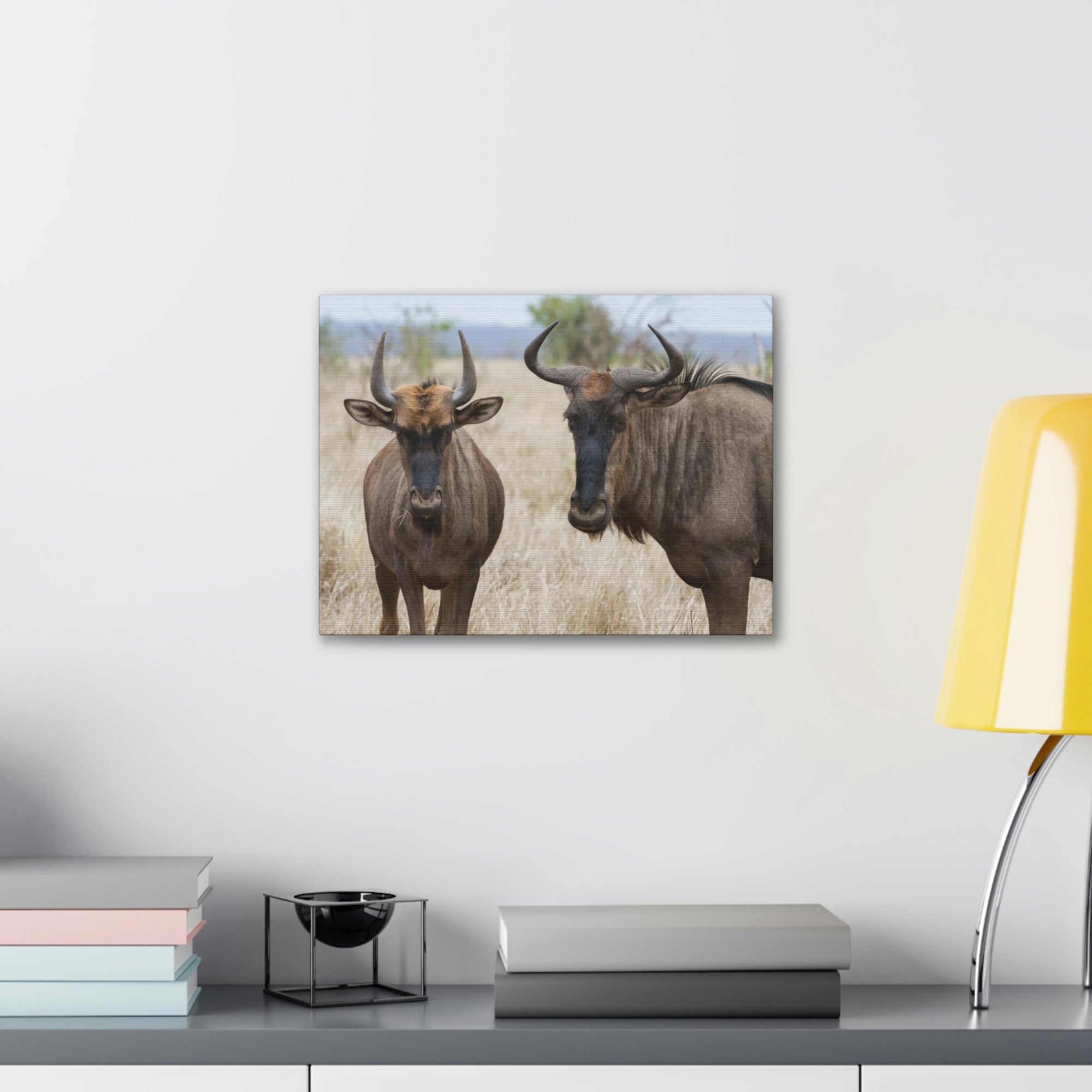 Funny Wildebeest Silly Wildebeest Scene Couple Wall Art Ready to Hang Unframed-Express Your Love Gifts