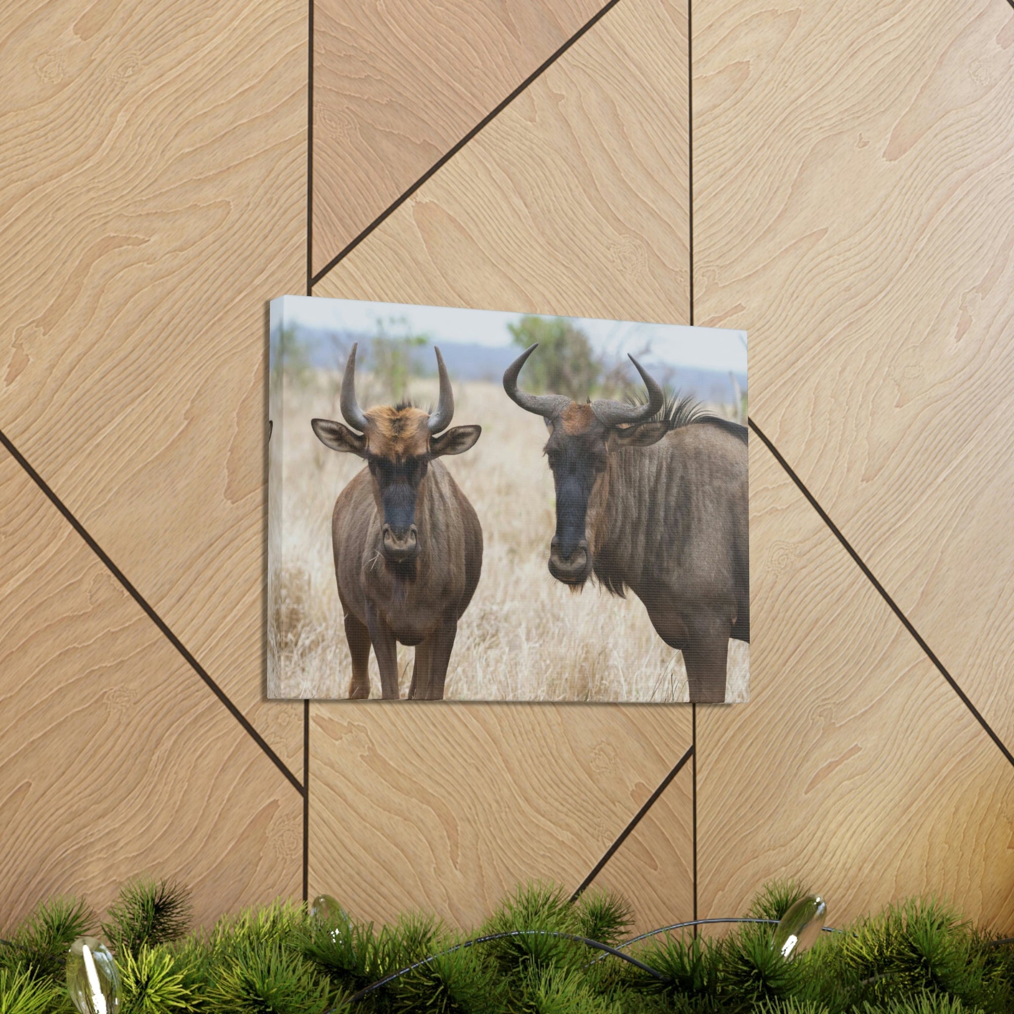 Funny Wildebeest Silly Wildebeest Scene Couple Wall Art Ready to Hang Unframed-Express Your Love Gifts