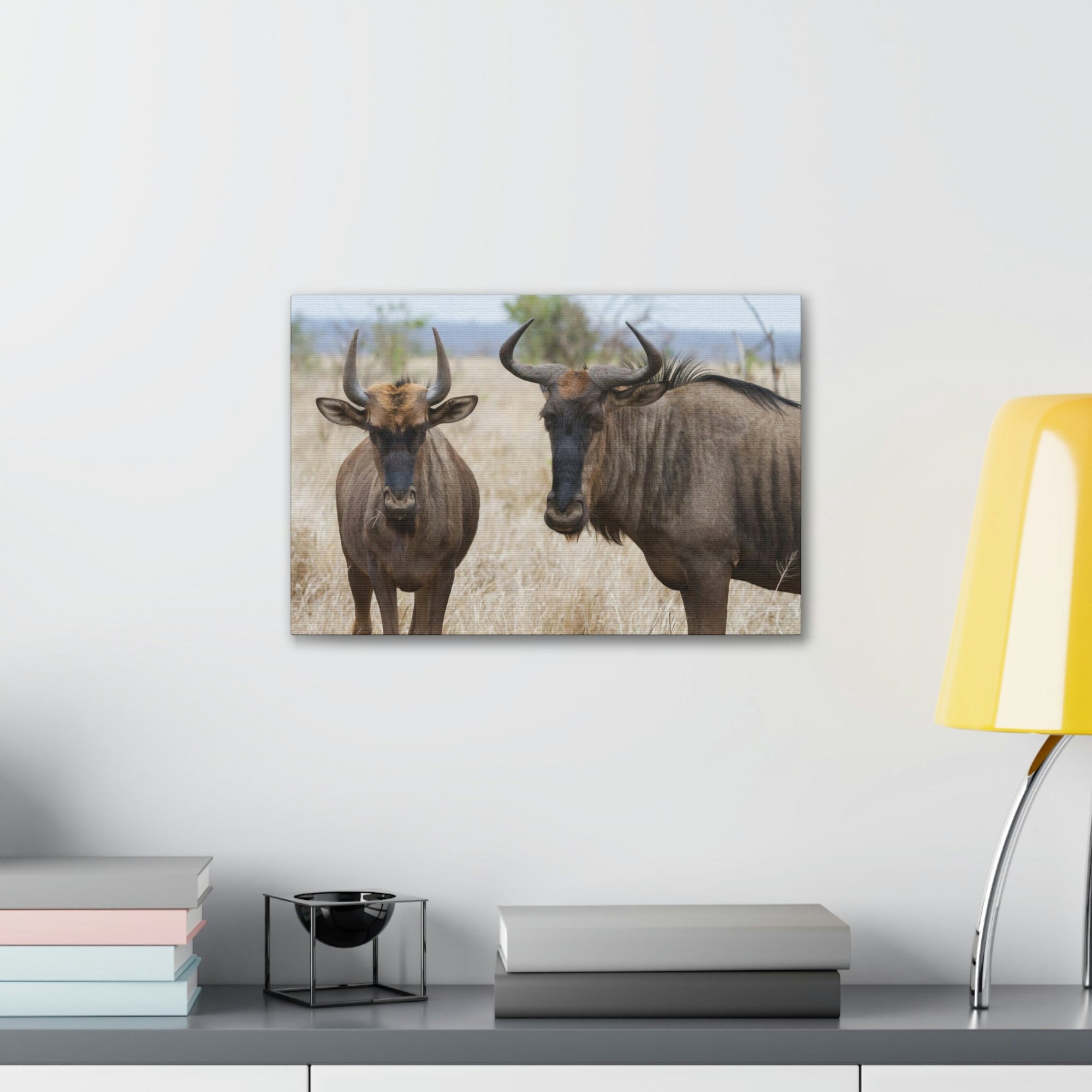 Funny Wildebeest Silly Wildebeest Scene Couple Wall Art Ready to Hang Unframed-Express Your Love Gifts