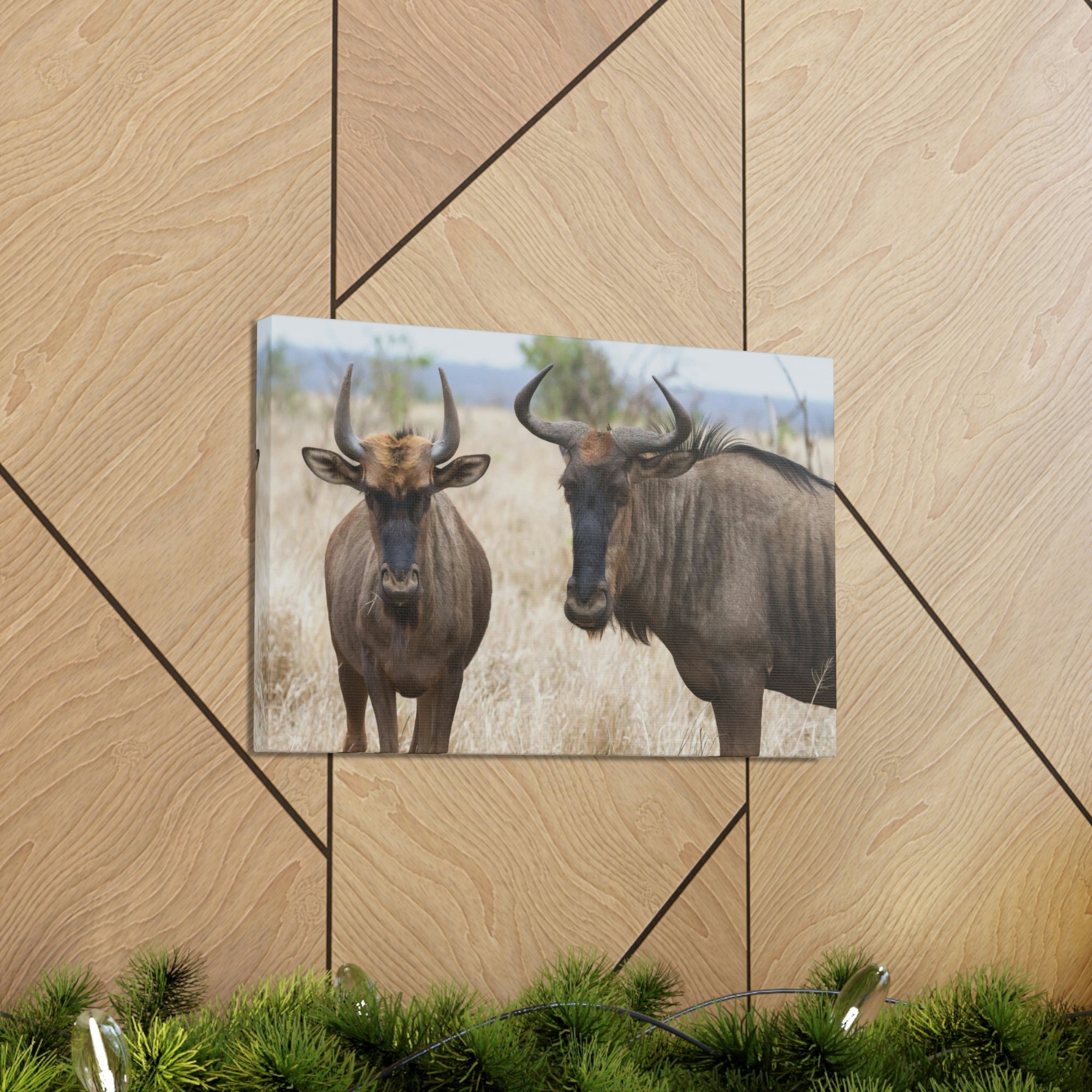 Funny Wildebeest Silly Wildebeest Scene Couple Wall Art Ready to Hang Unframed-Express Your Love Gifts