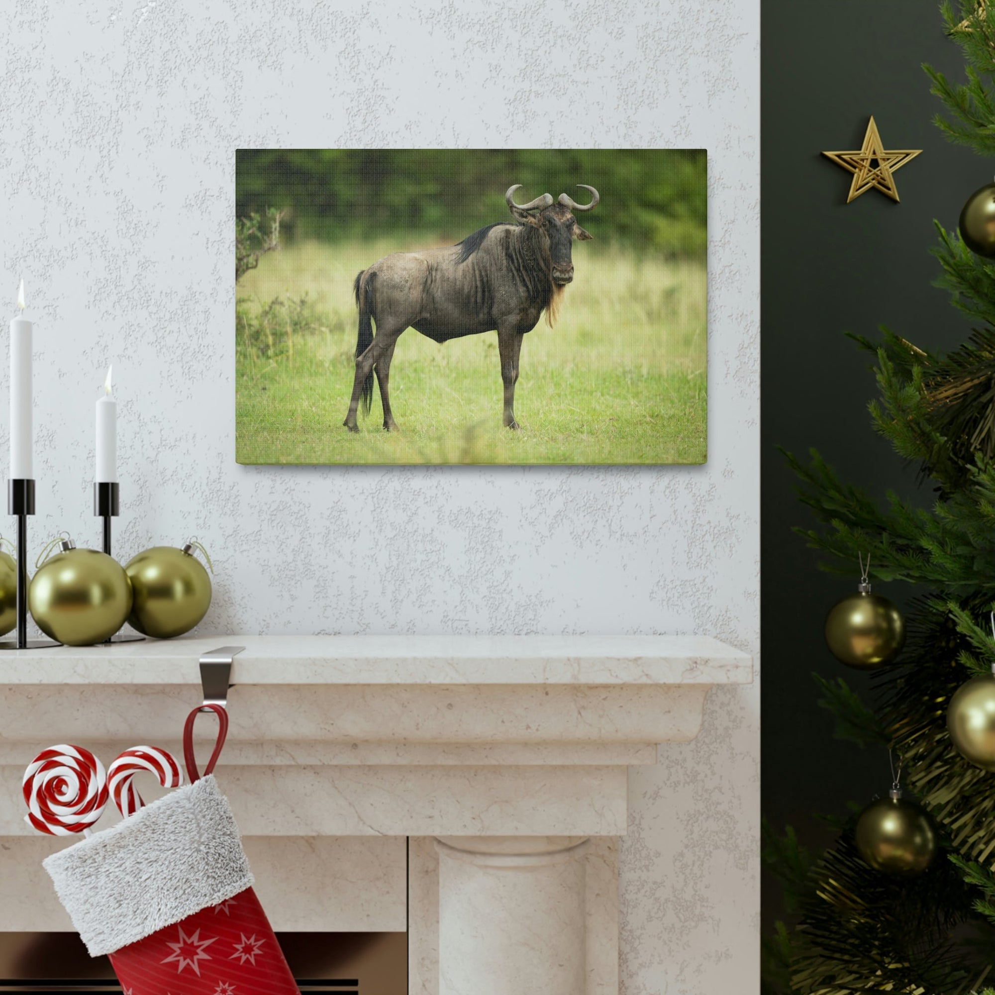 Funny Wildebeest Silly Wildebeest Scene Outdoor Wall Art Ready to Hang Unframed-Express Your Love Gifts