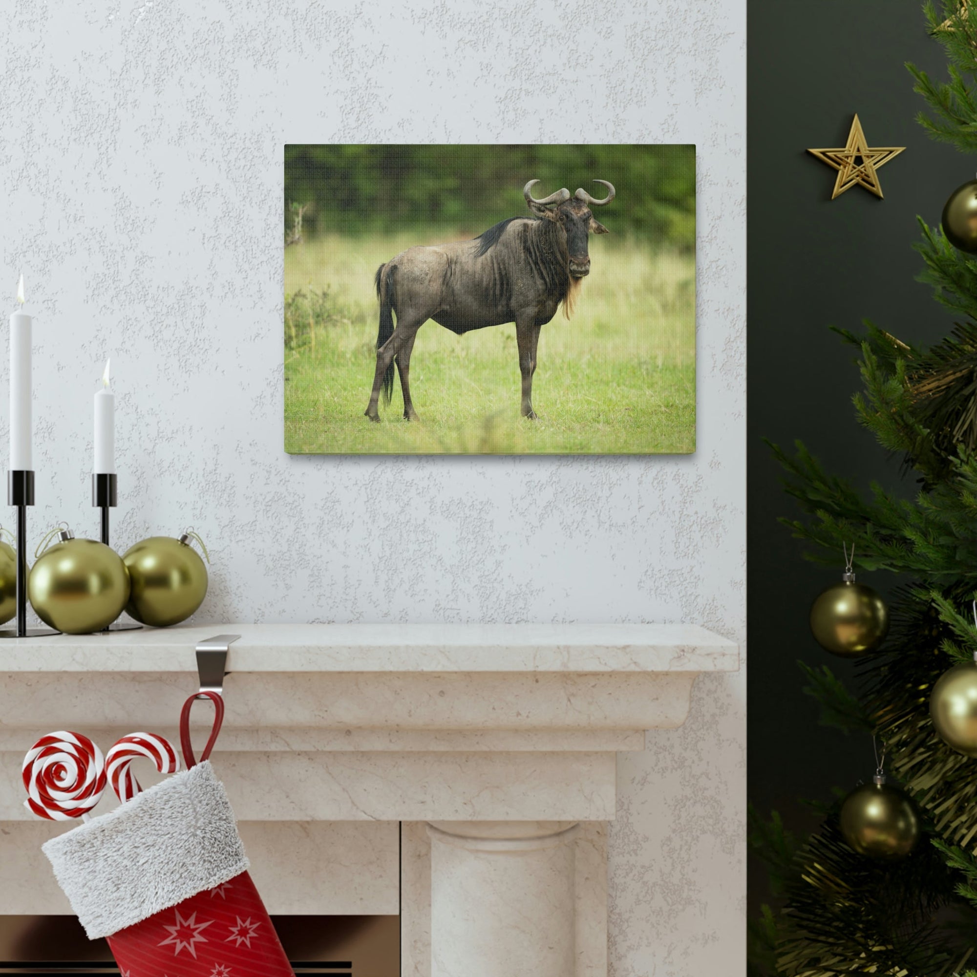 Funny Wildebeest Silly Wildebeest Scene Outdoor Wall Art Ready to Hang Unframed-Express Your Love Gifts