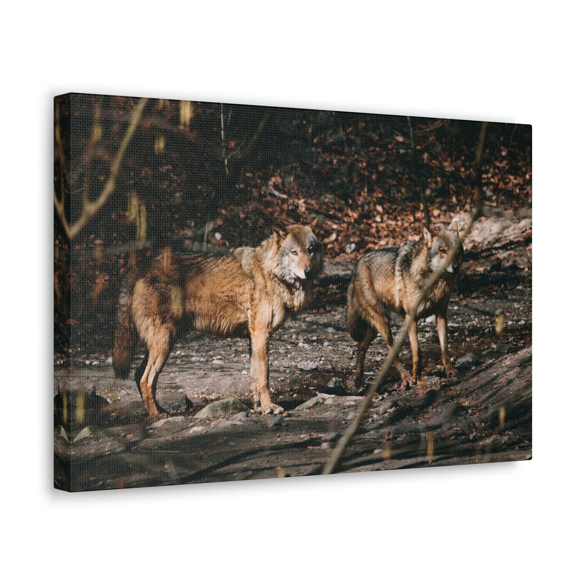 Funny Wolf Silly Wolf Scene Couple Wall Art Ready to Hang Unframed-Express Your Love Gifts