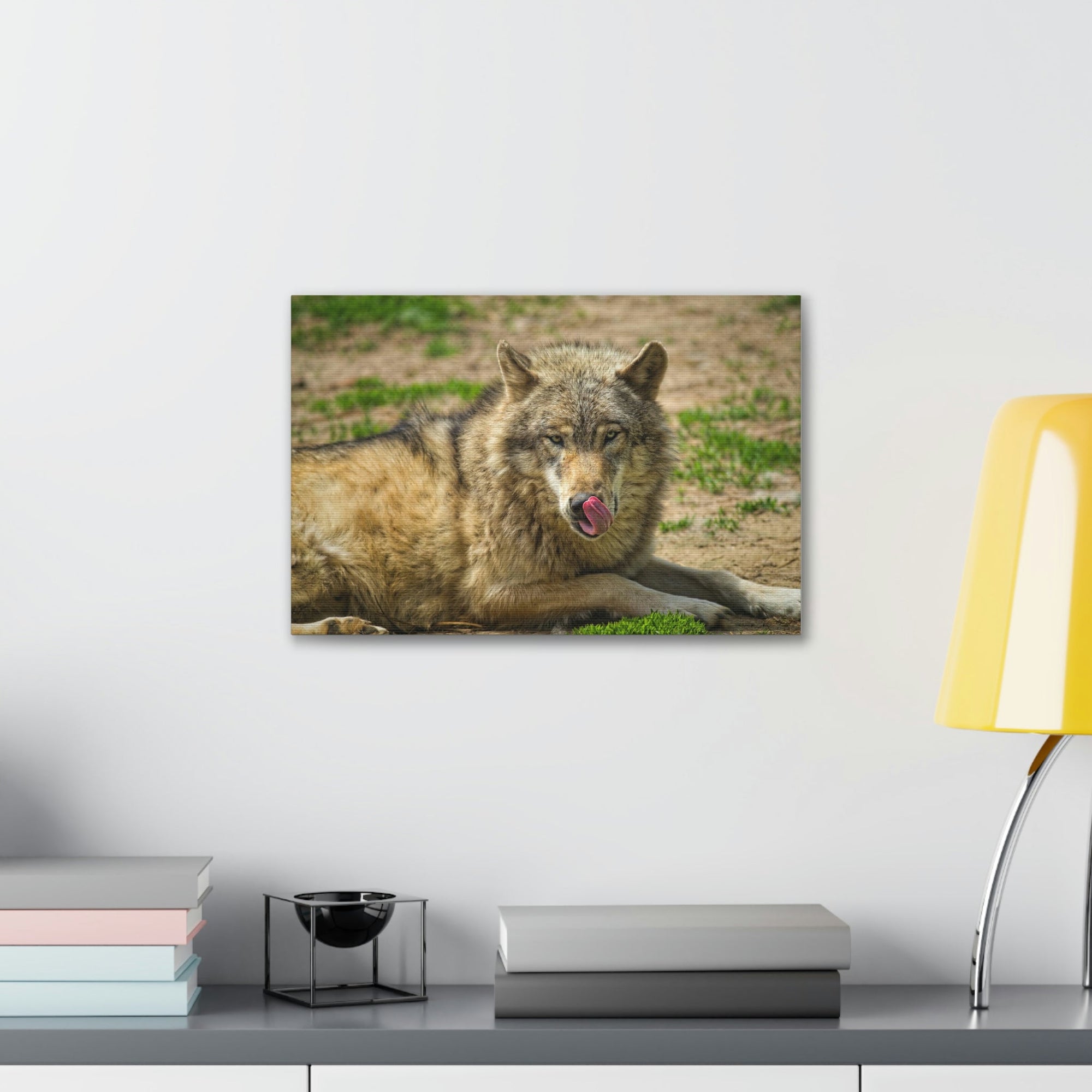 Funny Wolf Silly Wolf Scene Outside Wall Art Ready to Hang Unframed-Express Your Love Gifts