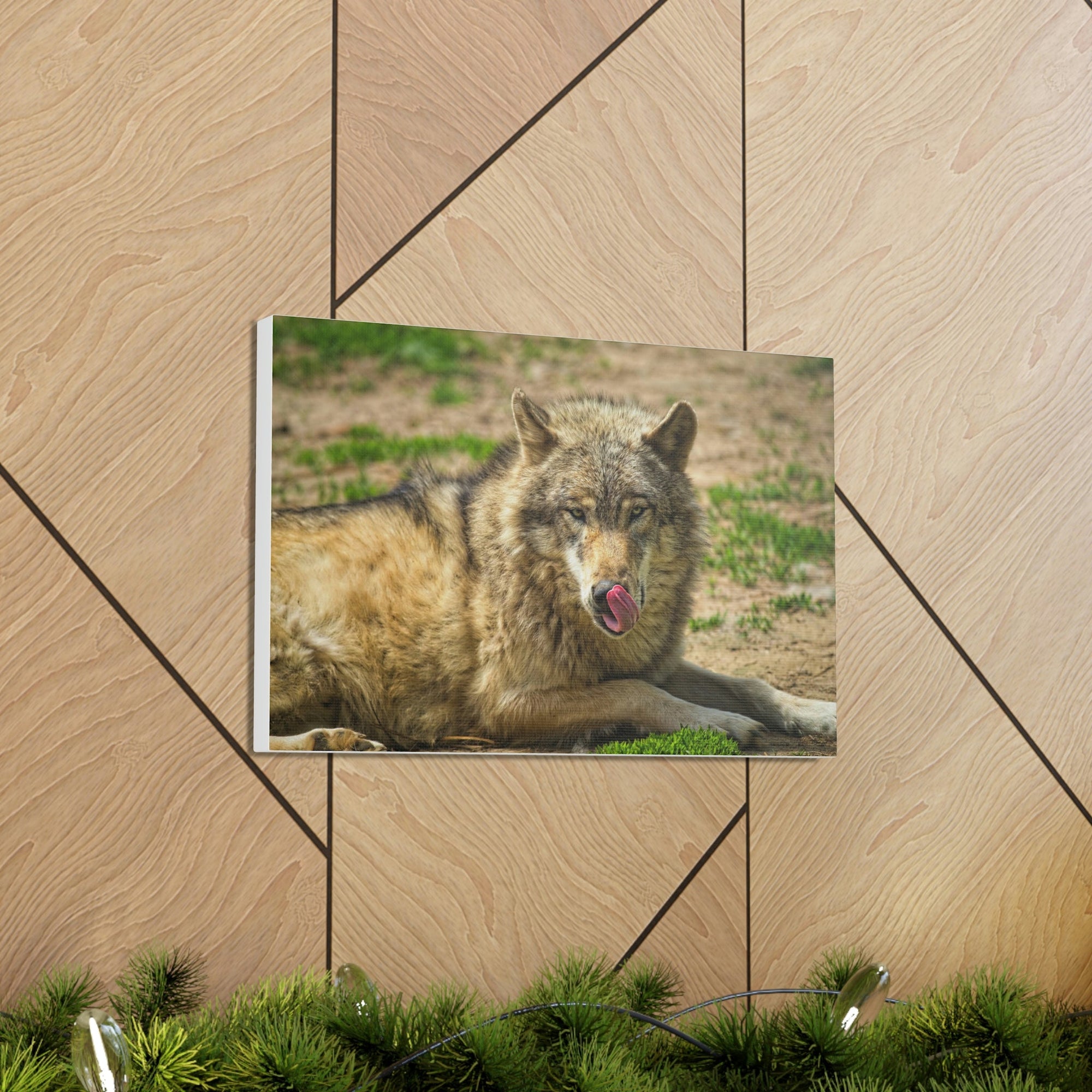 Funny Wolf Silly Wolf Scene Outside Wall Art Ready to Hang Unframed-Express Your Love Gifts