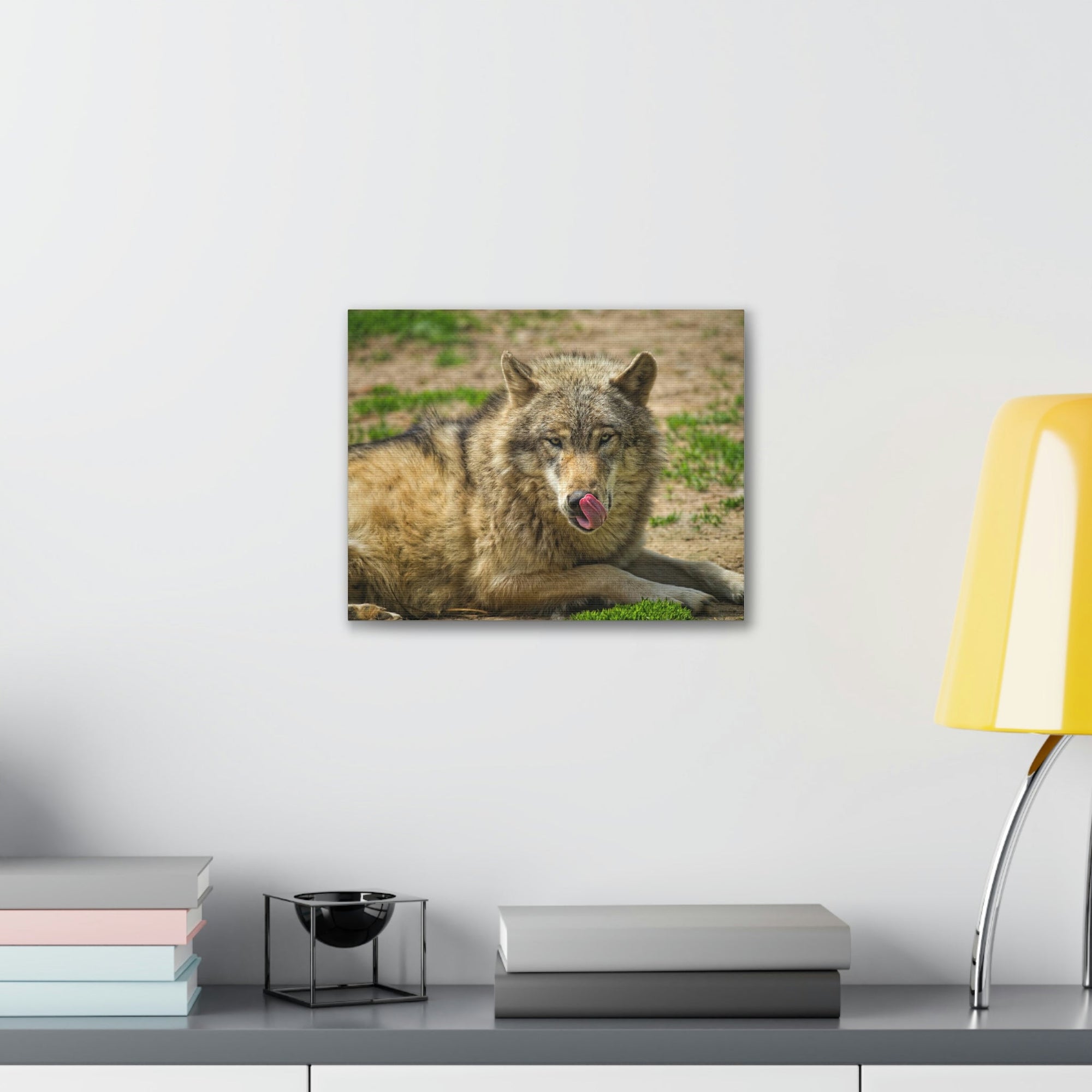 Funny Wolf Silly Wolf Scene Outside Wall Art Ready to Hang Unframed-Express Your Love Gifts