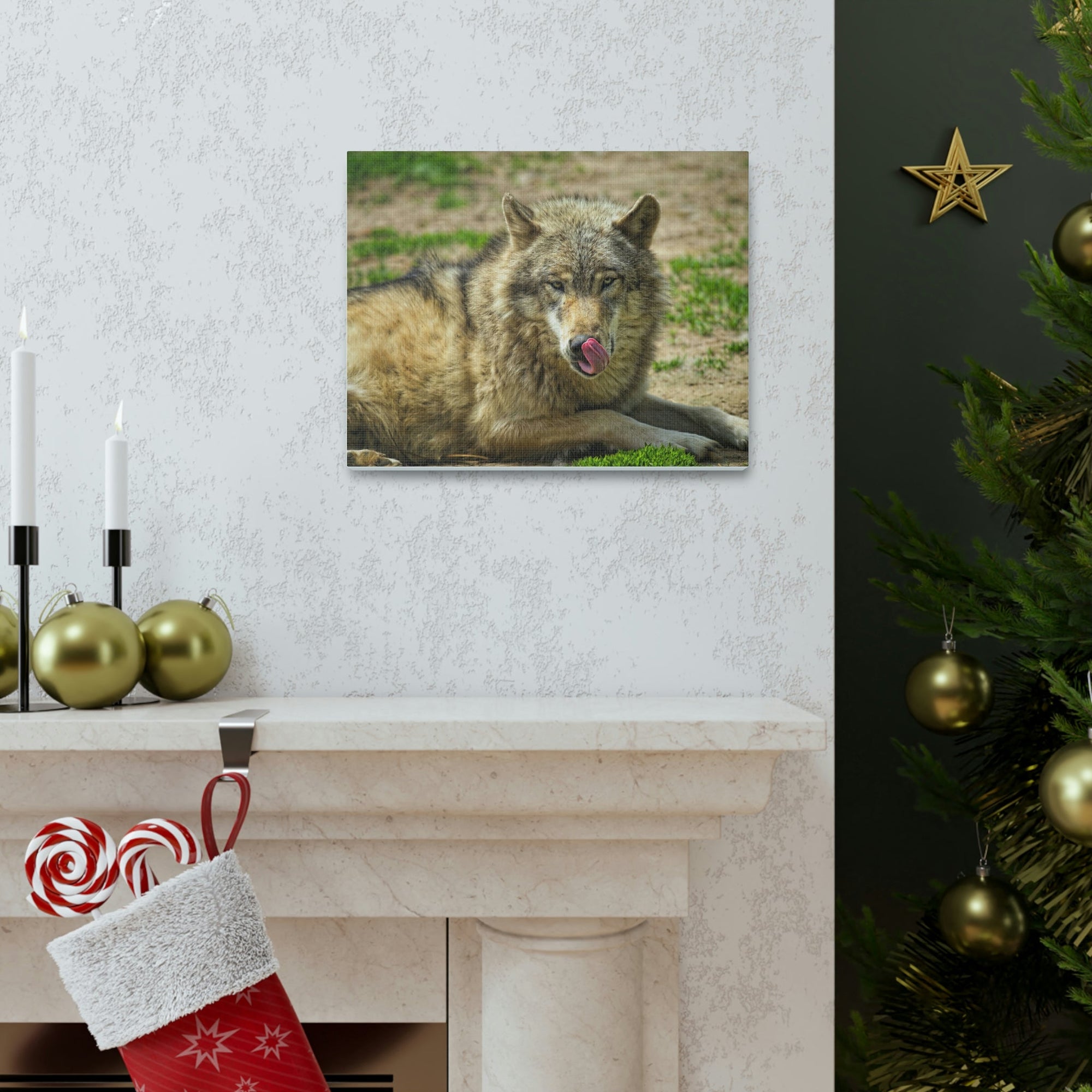 Funny Wolf Silly Wolf Scene Outside Wall Art Ready to Hang Unframed-Express Your Love Gifts