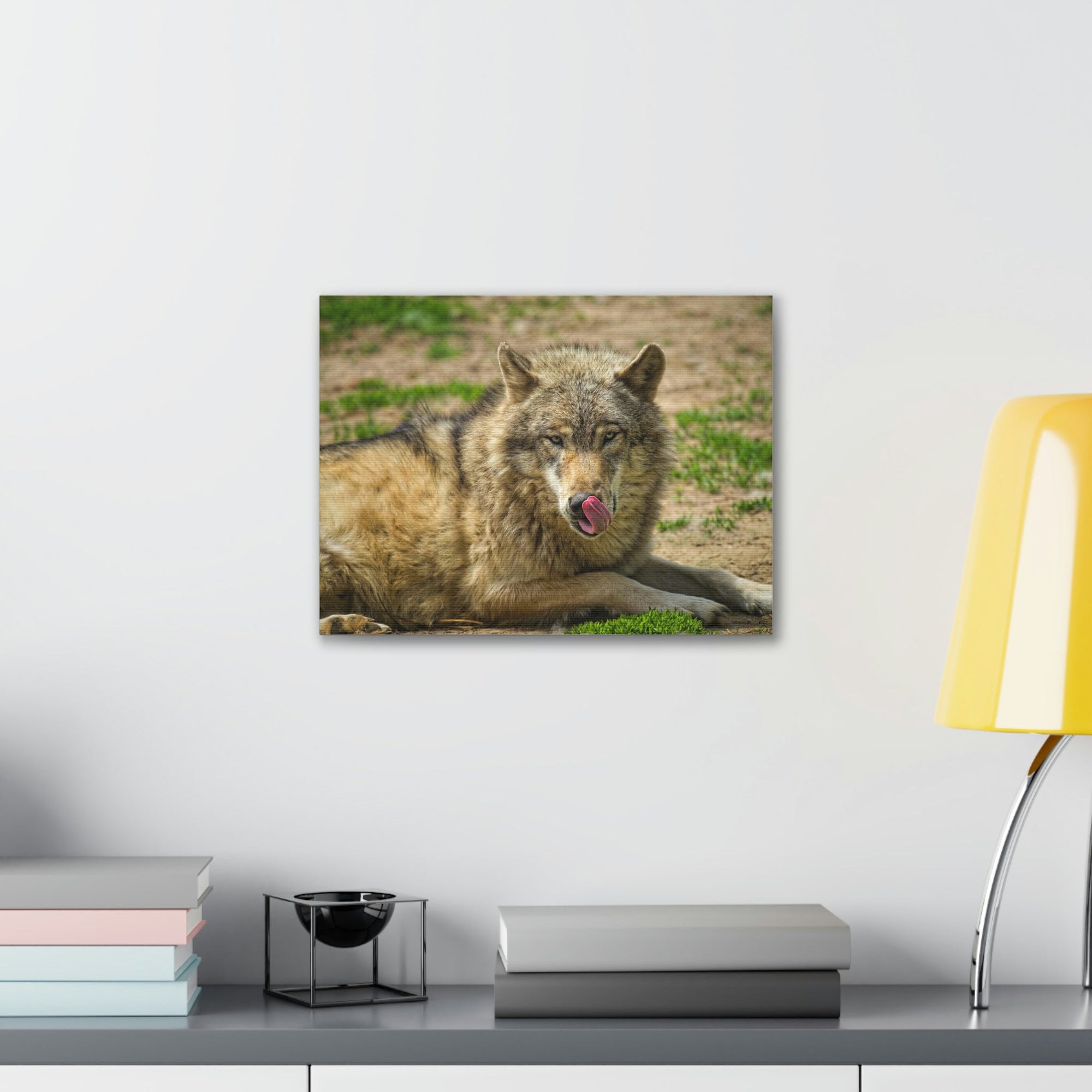 Funny Wolf Silly Wolf Scene Outside Wall Art Ready to Hang Unframed-Express Your Love Gifts