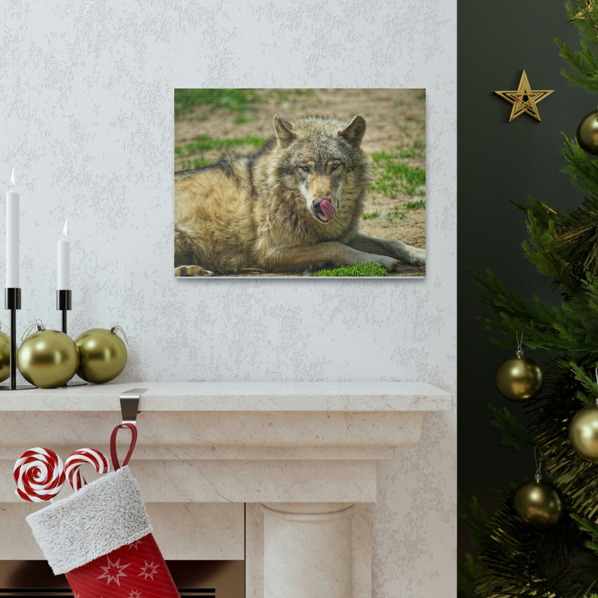 Funny Wolf Silly Wolf Scene Outside Wall Art Ready to Hang Unframed-Express Your Love Gifts