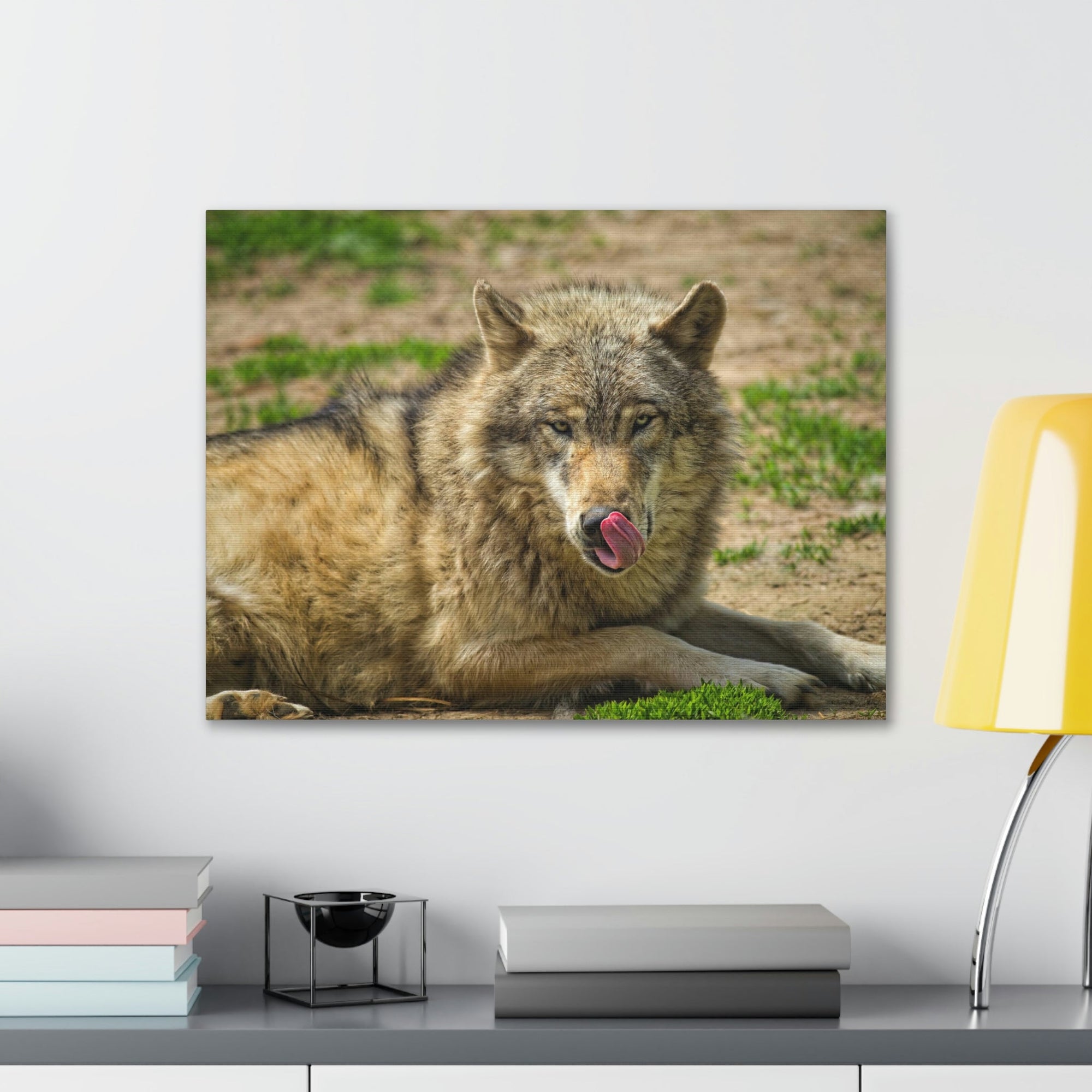 Funny Wolf Silly Wolf Scene Outside Wall Art Ready to Hang Unframed-Express Your Love Gifts